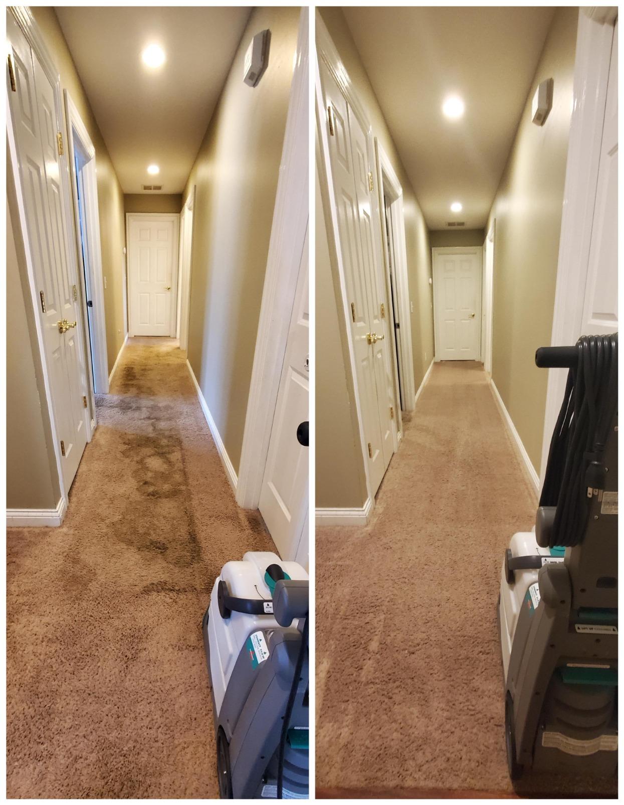 BISSELL Big Green Professional Carpet Cleaner, XL DirtLifter PowerBrush customer photo 1