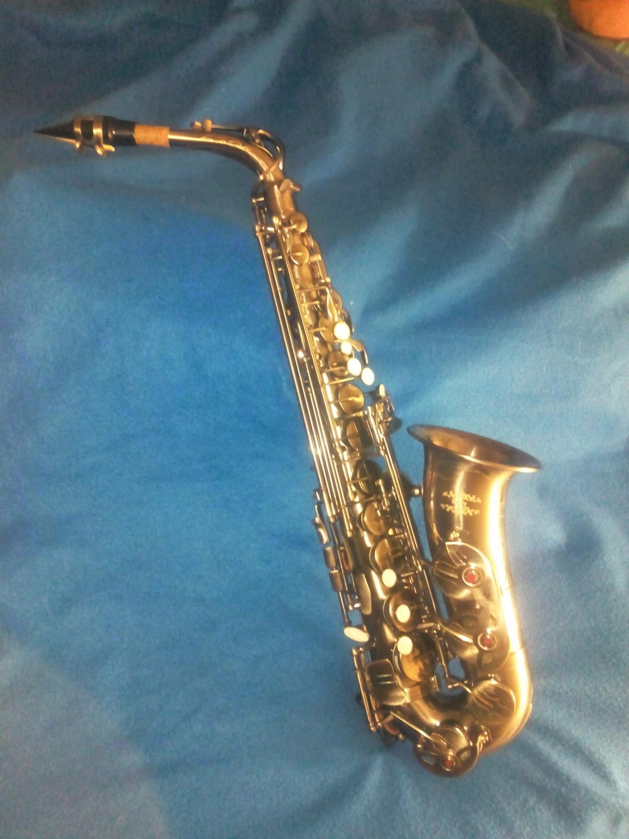 Glory Gold Lacquer E Flat Alto Saxophone with 11 Reeds, 8 Pads Cushions, Case, Care Kit customer photo 1
