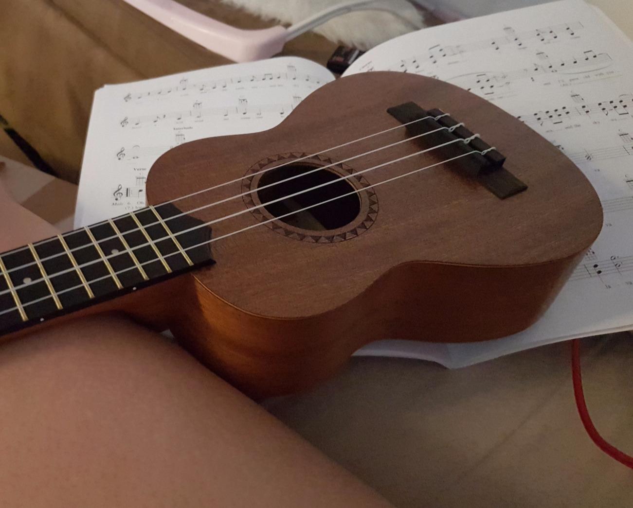 Kala LTP-S Learn to Play Mahogany Ukulele Starter Kit, Satin Mahogany, Includes online lessons, tuner app, and booklet customer photo 1