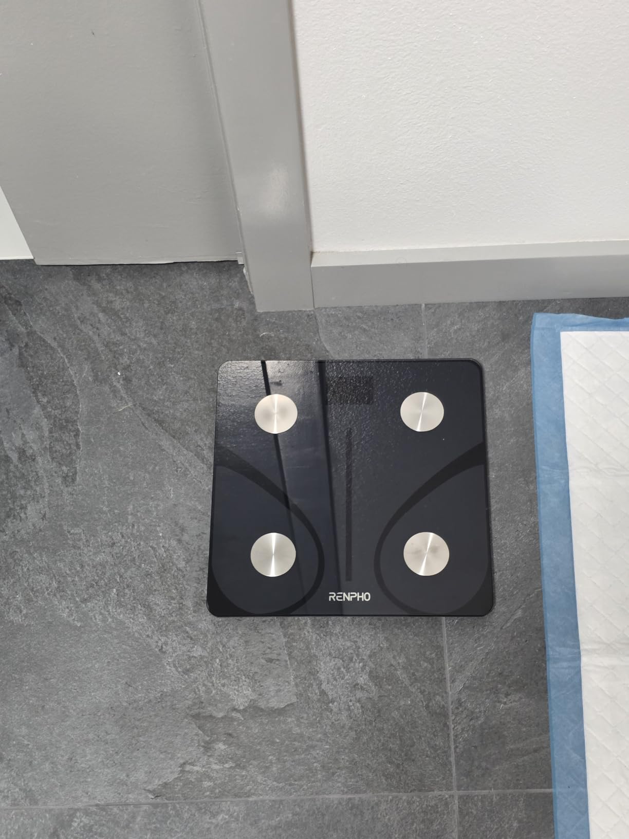 RENPHO Elis 1 Smart Scale for Body Weight, BMI & Body Fat, 13 Metrics | Bathroom Digital Bluetooth Scale with 400lbs Capacity, Syncs with Fitness Apps, Accurate for Weight Loss customer photo 2