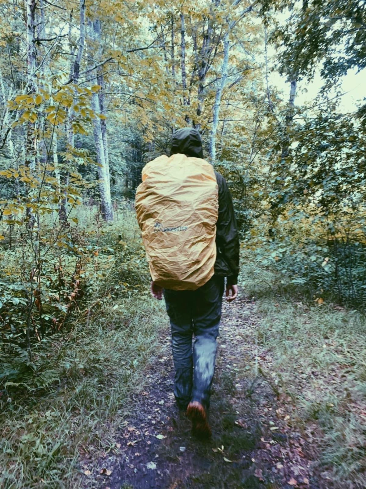 Mardingtop 60L Military Internal Frame Backpack for Hiking, Camping, Hunting, Rucksack Backpack with Rain Cover customer photo 1