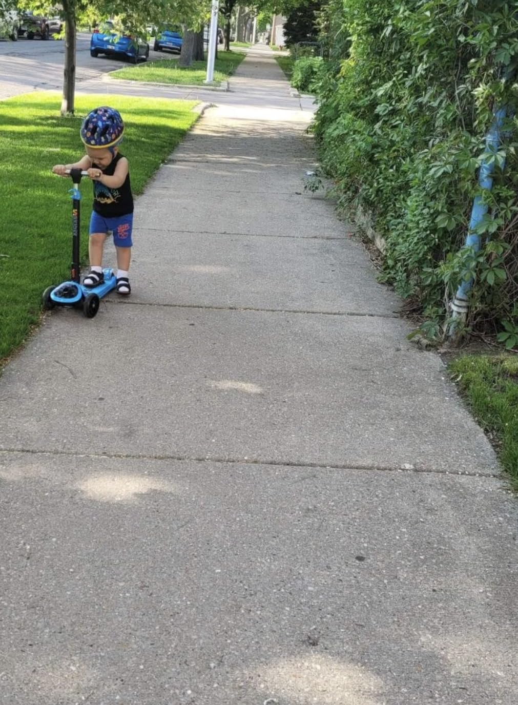 SKIDEE Kick Scooter for Kids Ages 3-5 | Foldable 3 Wheel Scooter with Lean-to-Steer, Adjustable Height, Removable Seat & LED Light Wheels | Toddler Scooter Up to 12 Year Old Boys/Girls customer photo 2