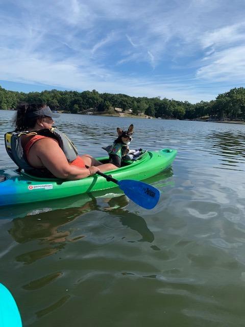 Perception Flash 9.5 | Sit Inside Kayak | Rod Holders and Rear Storage customer photo 2