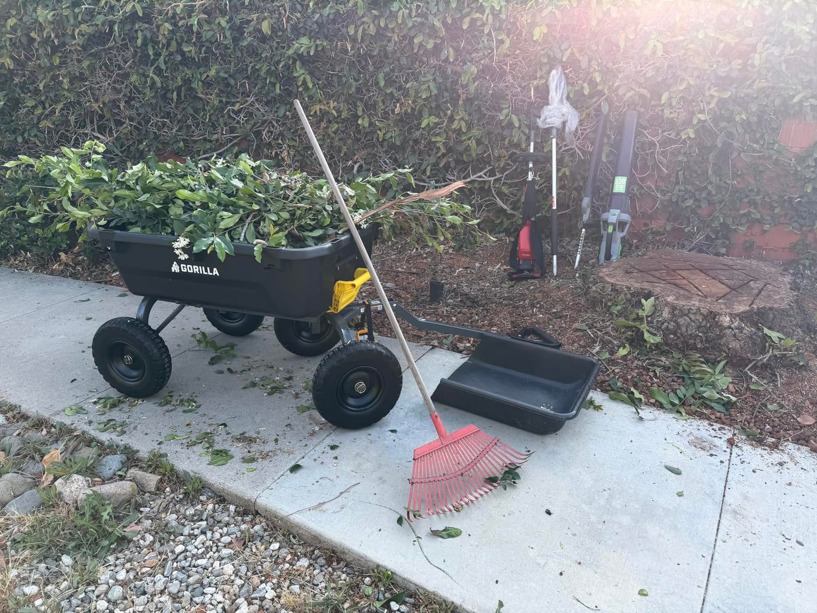 Gorilla Carts Dump Garden Cart, 7 Cu Ft,1200 lb Capacity, No-Flat Tires customer photo 1