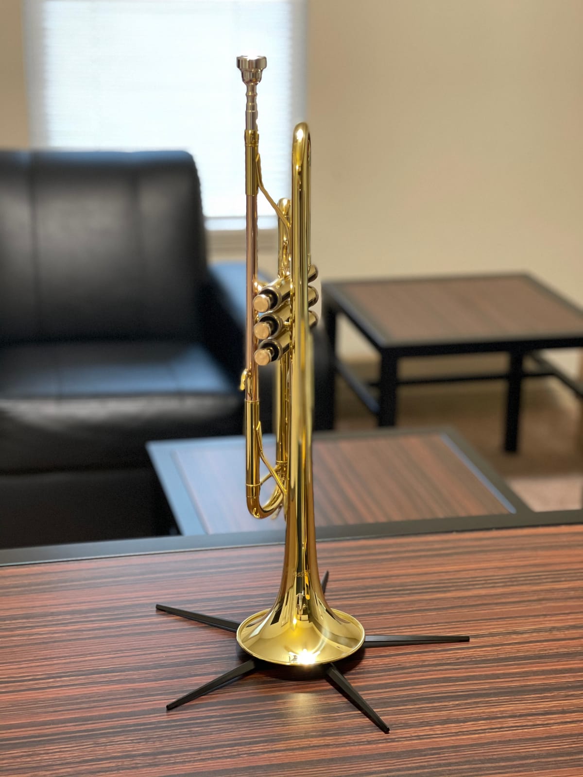 Libretto Gold Lacquer Bb Trumpet Set, Rose Brass Leadpipe | Standard for Beginner & Intermediate Students, Stainless Valve, 7C Mouthpiece, Durable Case, Portable Stand, Care Kit customer photo 1