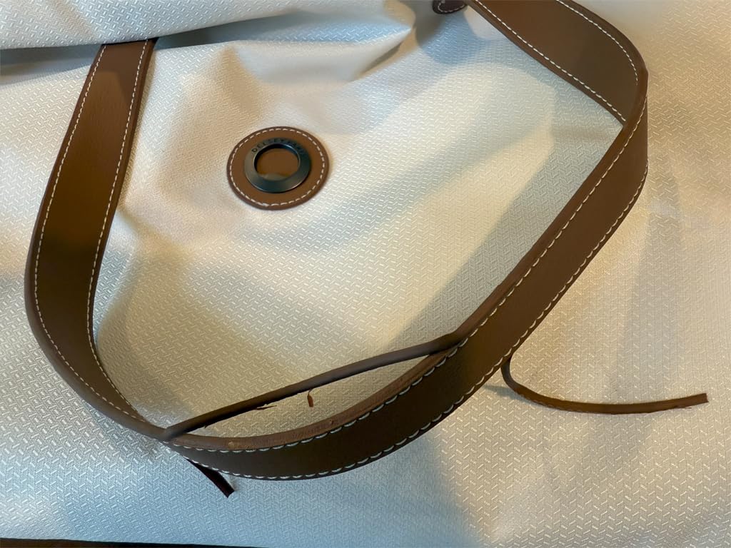 DELSEY PARIS Chatelet Air 2.0, 20 Inch Carry-On Plus Luggage, Angora customer photo 2