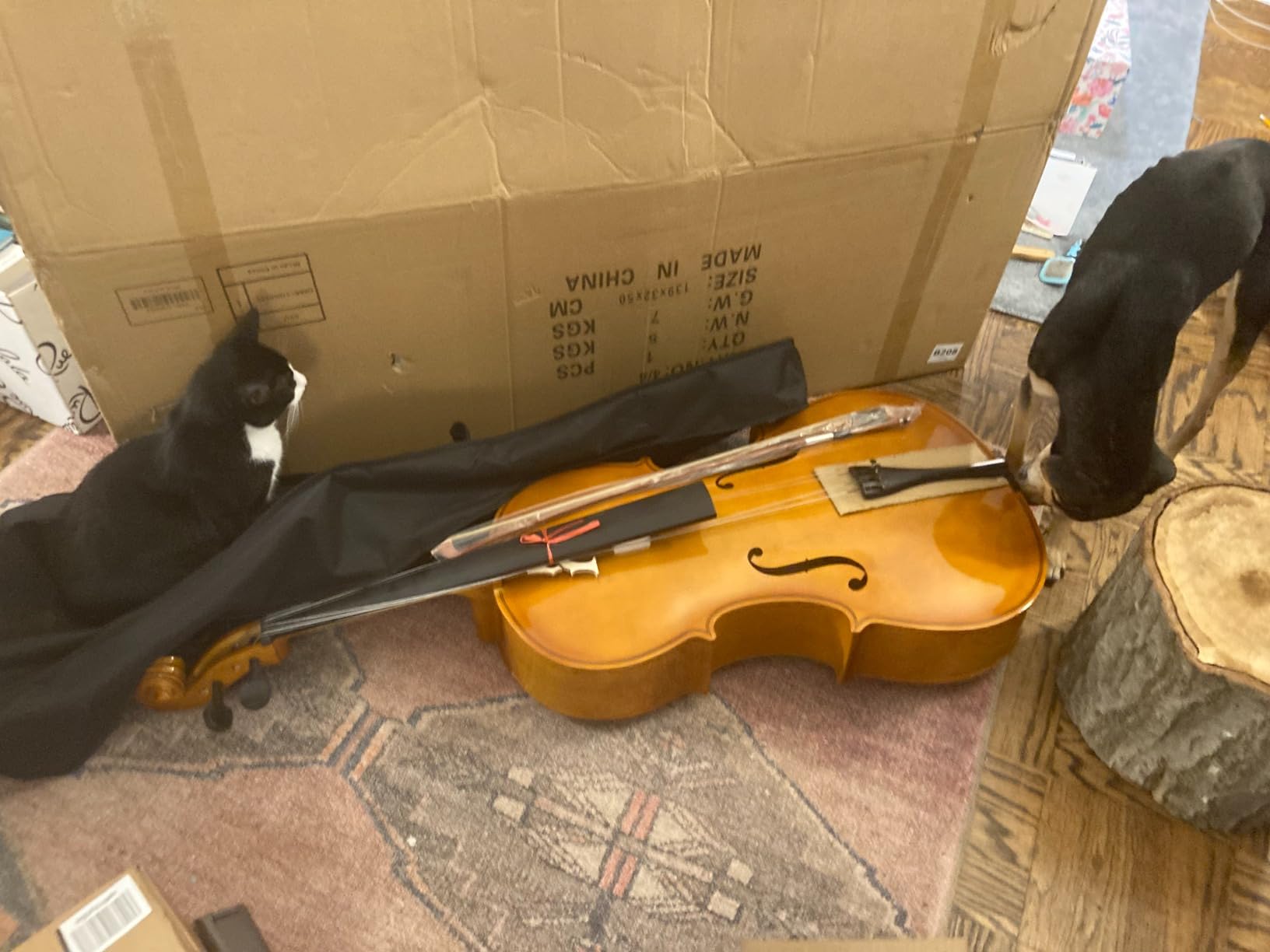 Ktaxon Full-Size Cello, Beginner Cello 4/4, Acoustic Cello Kit with Portable Bag, Bow, Bridge and Rosin for Beginners, Adults & Kids String Musical (Black) customer photo 2