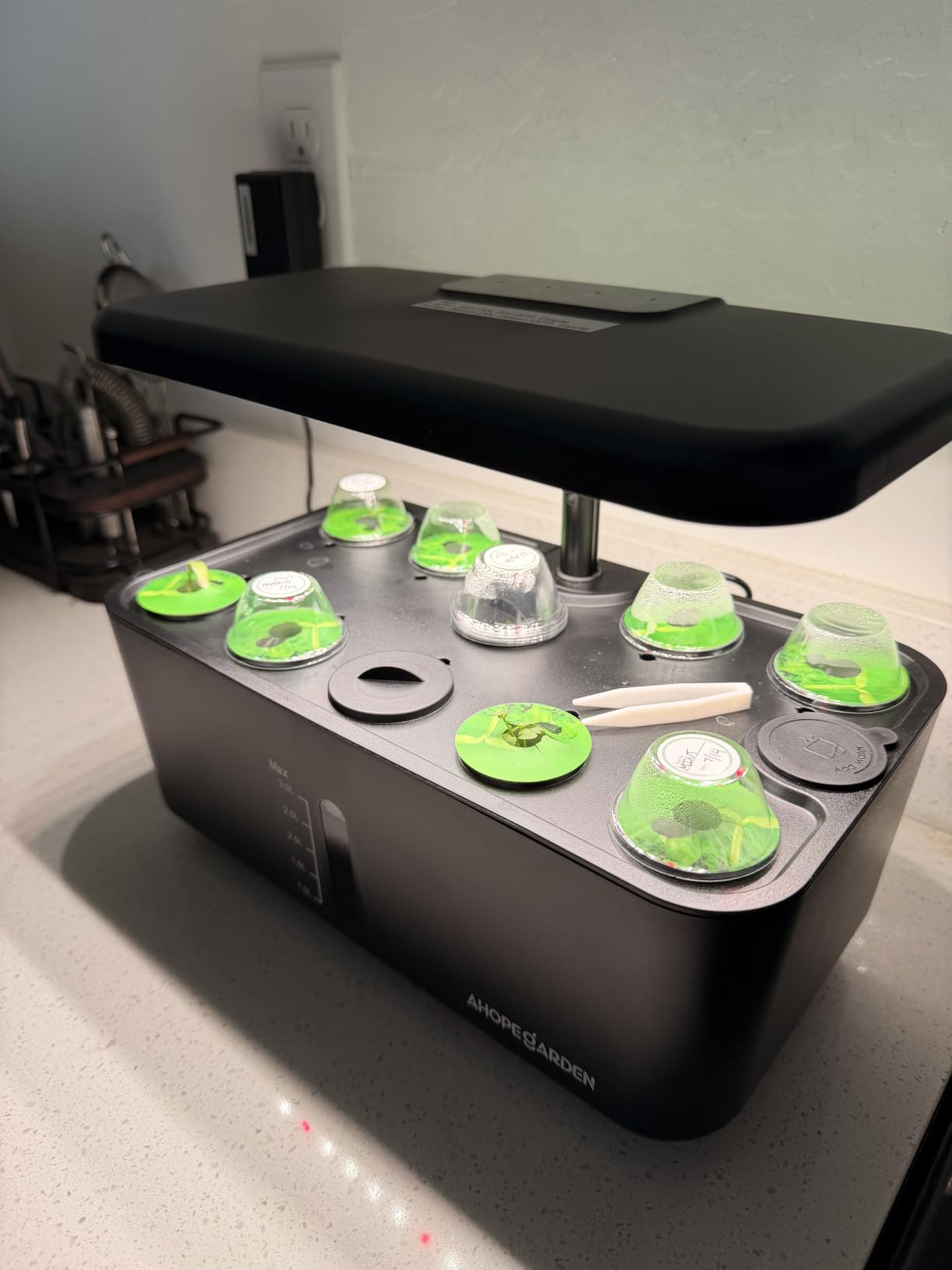 Ahopegarden Indoor Garden Hydroponics Growing System: 10 Pods Kit with LED | Plant Germination Kit Herb Vegetable Growth Lamp Countertop, Hydroponic Planter Grower Harvest Lettuce for Healthy Home Cooks customer photo 1
