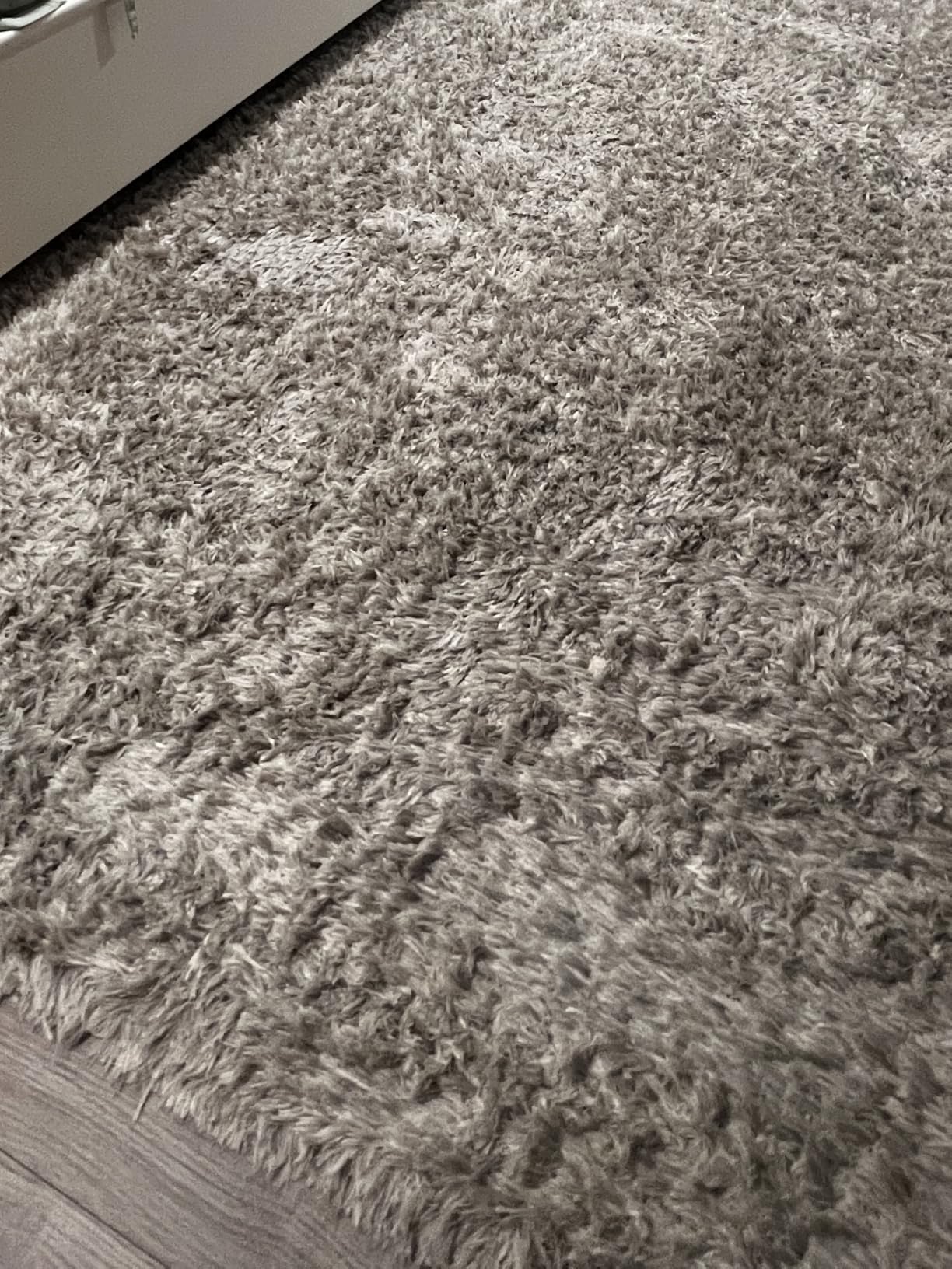 BISSELL ProHeat 2X Revolution Pet Pro Plus Carpet Cleaner, 3588F customer photo 2