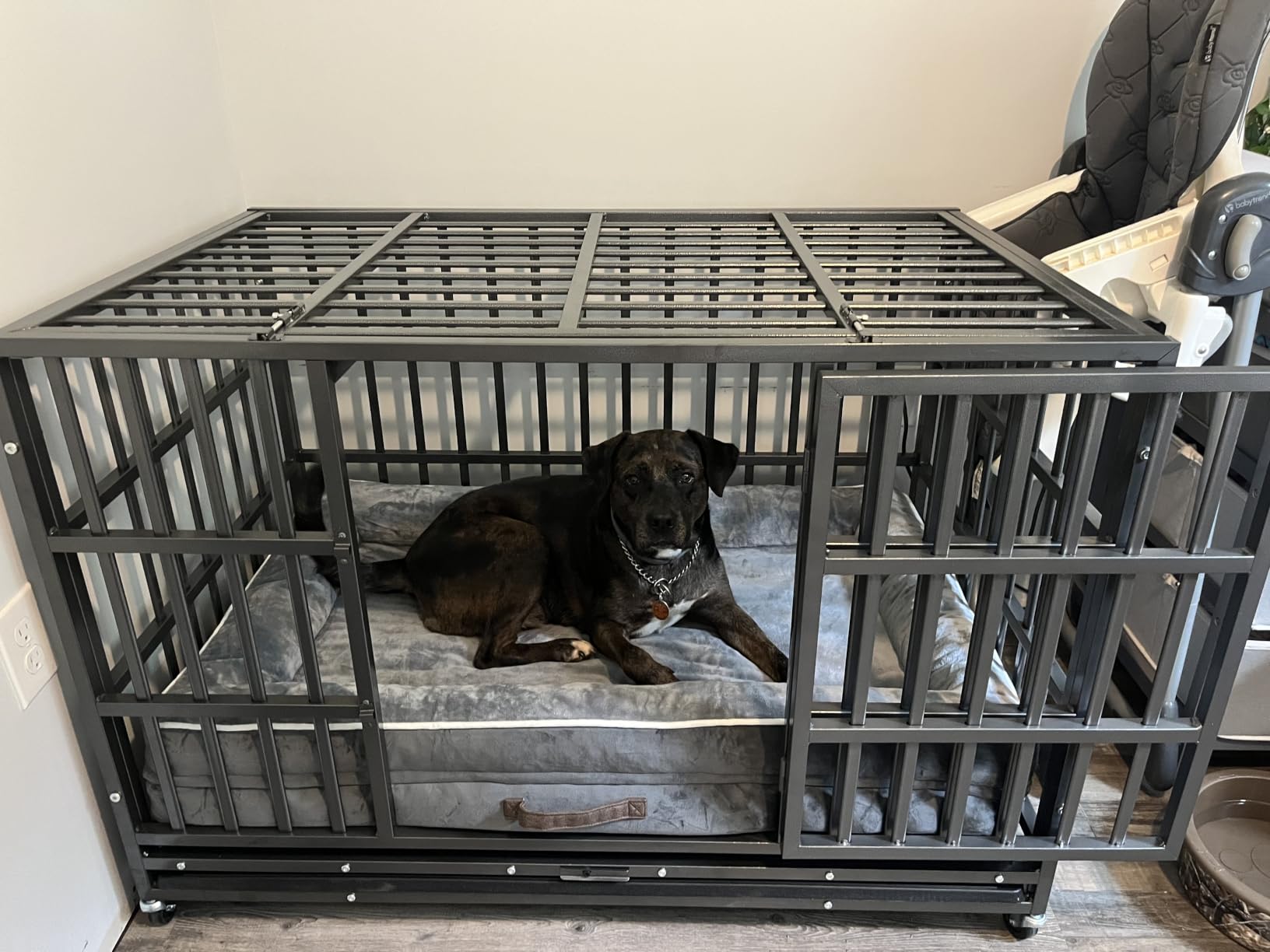Hiwokk 48 Inch Heavy Duty Dog Crate, Indestructible Escape-Proof Dog Kennel for High Anxiety Large Dogs, Strong Metal Pet Cage with Double Doors, Lockable Wheels & Removable Tray, XL XXL XXXL customer photo 2