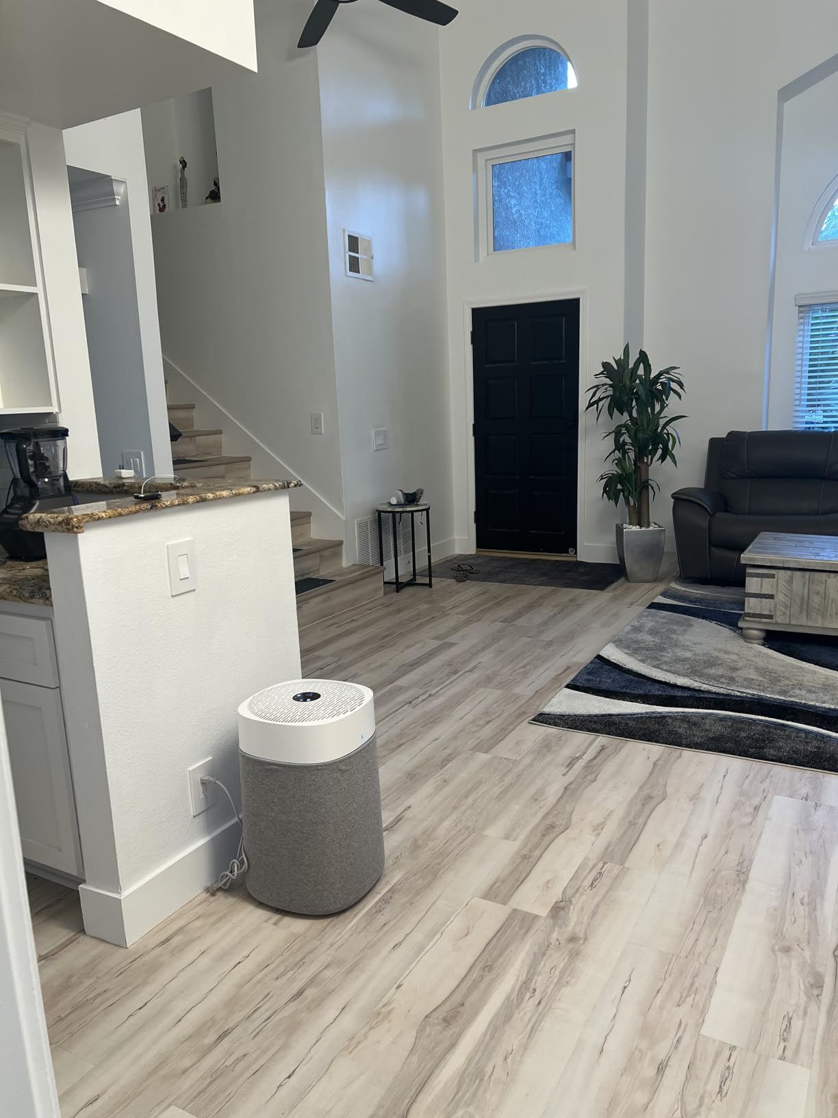 BLUEAIR Air Purifiers for Home Large Room up to 3,235 Ft², Blue 211i Max customer photo 2