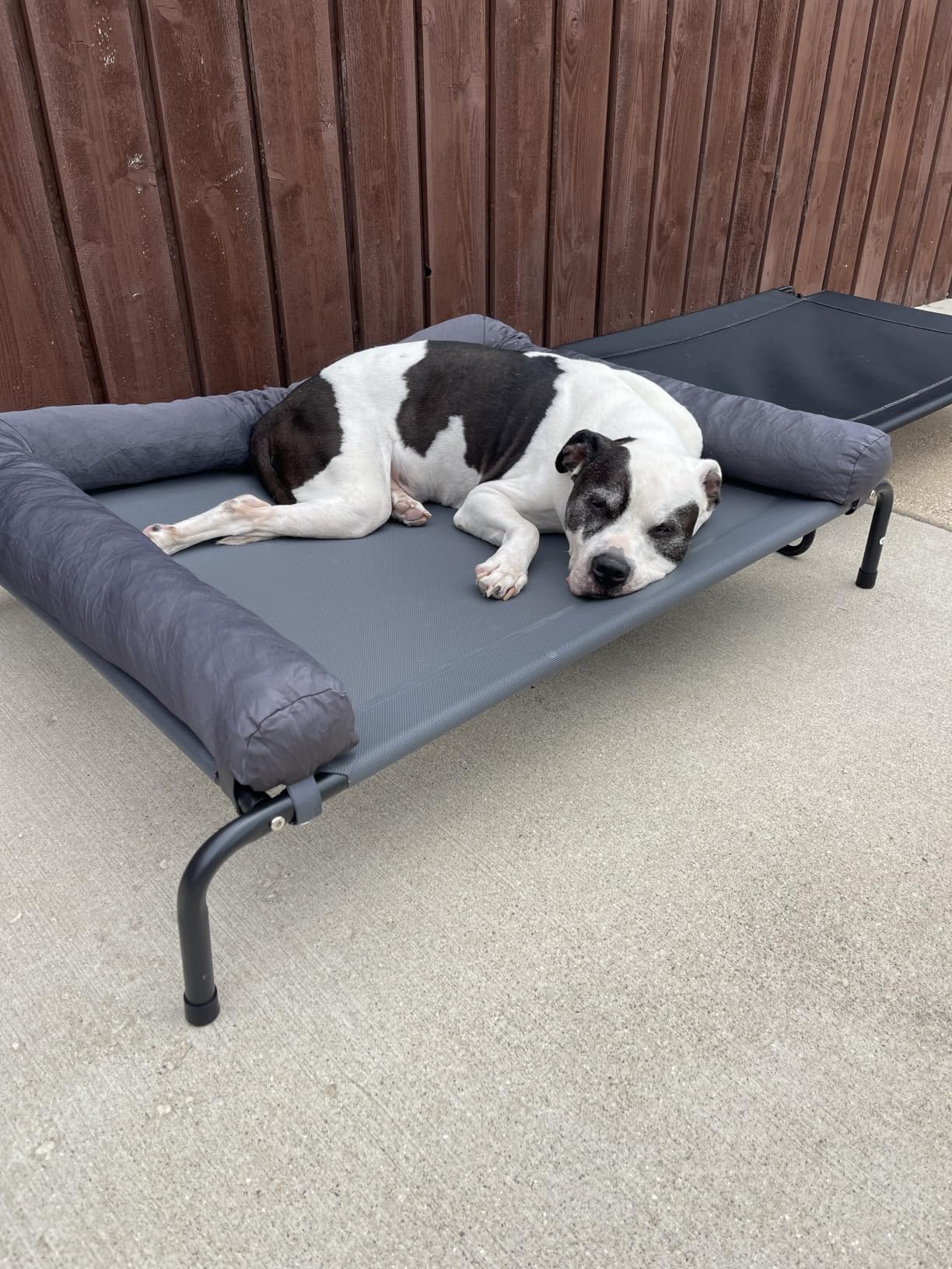 WESTERN HOME Cooling Elevated Dog Bed for Large Dogs, Portable Indoor & Outdoor Raised Dog Bed with Breathable Mesh, Chew Proof Pet Hammock Cots with Removable and Waterproof Bolsters customer photo 1