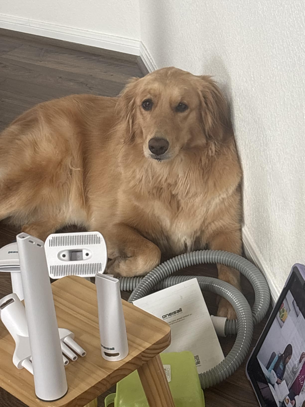 oneisall Dog Vacuum & Dryer for Shedding Grooming, 8 in 1 Dog Grooming Kit with Metal Blade Pet Clippers, Adjustable Speed and Temperature Control Blower customer photo 2