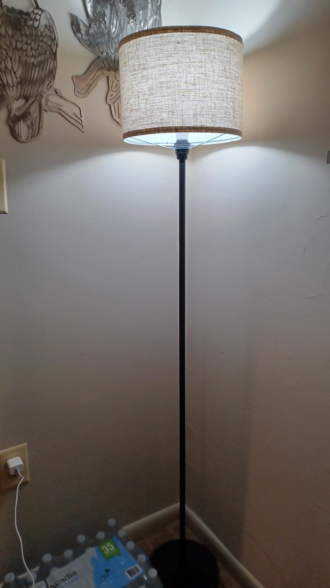 TOBUSA Floor Lamp for Living Room Bedroom with 3CCT LED Bulb, Modern Standing Lamp Drum Shade, 65'' Tall with Foot Switch Black Pole, Dimmable Simple Design Stand Up Lamp for Home Office Reading customer photo 1