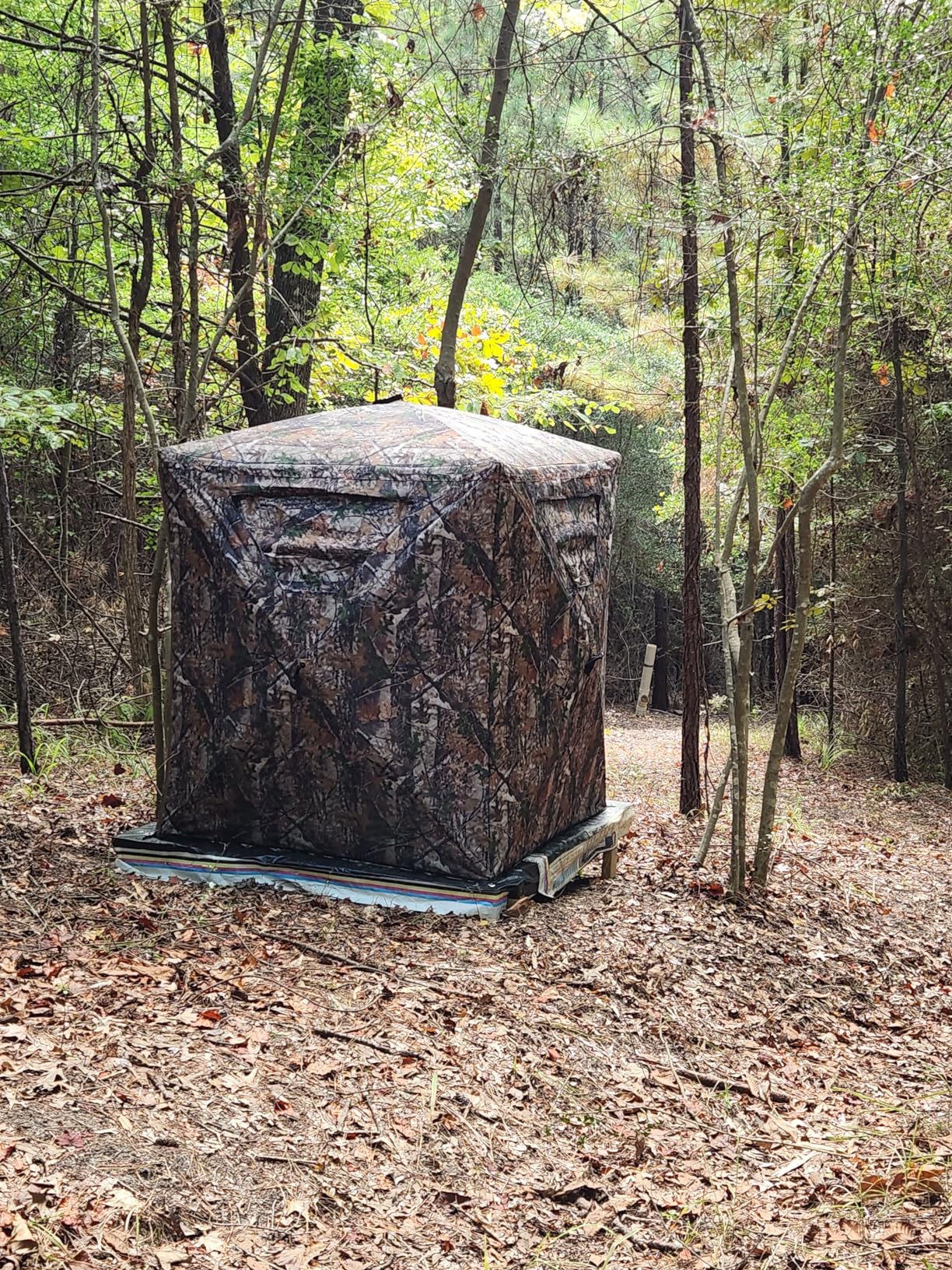 Hunting Blind, 2 Person Pop Up Blinds 360 Degree See Through, Portable Durable Hunting Ground Blinds for Deer & Turkey Hunting customer photo 1
