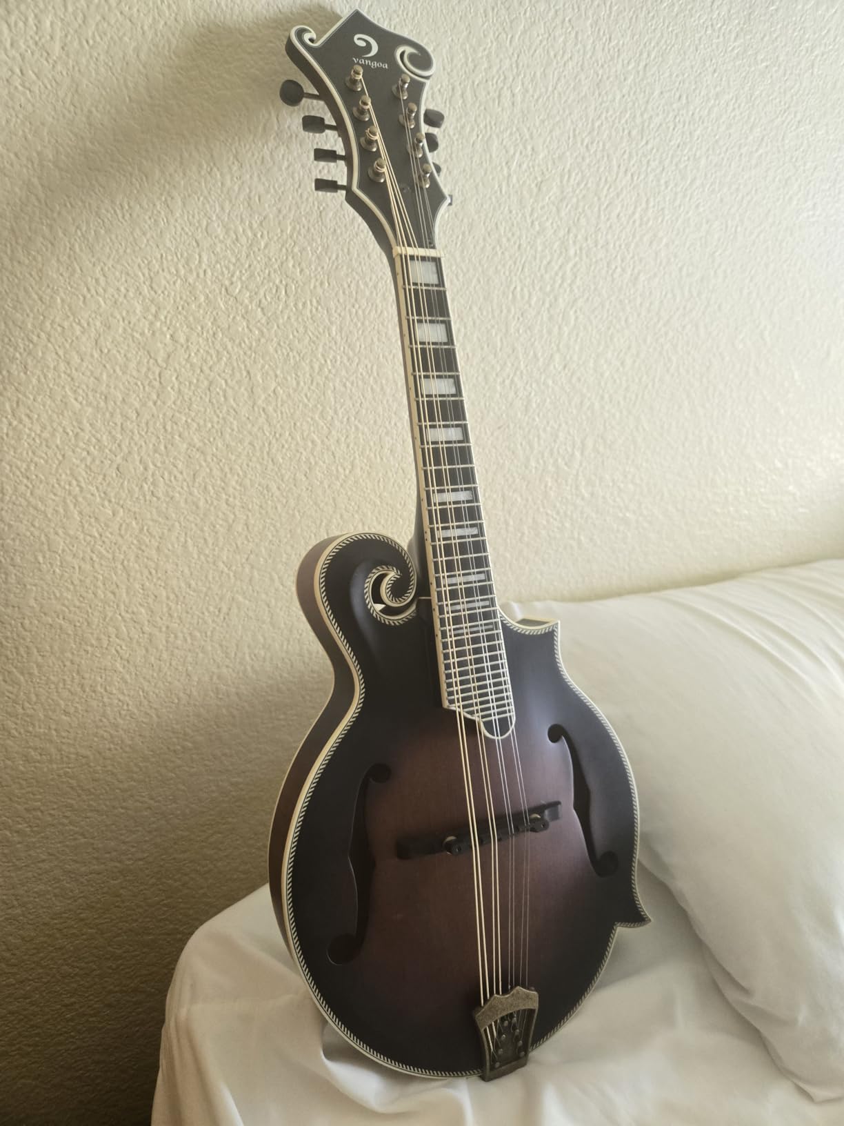 Vangoa F-Style Mandolins Instrument, Solid Spruce and Maple, 29-Fret, Ebony Fingerboard and Bridge, 8 String Acoustic Mandolin, for Beginner Adults and the higher stages players, Classic Sunburst customer photo 1