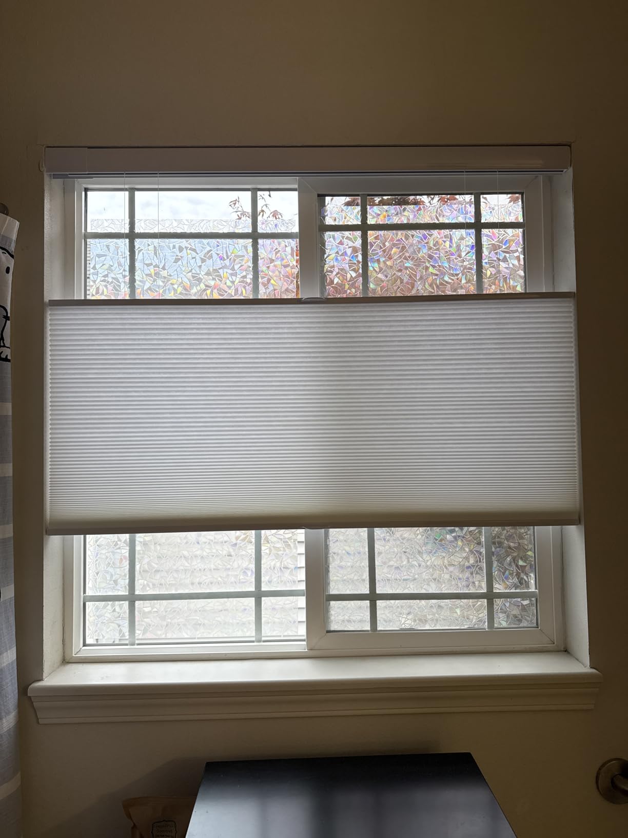 Tonature No Tools No Drill Top Down Bottom Up Cellular Shades for Windows, 1