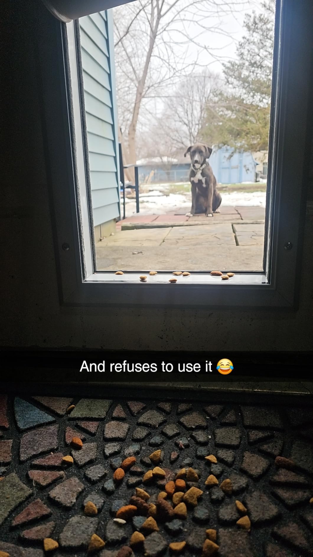 [Petoasis] 3-Flaps Heavy-Duty Dog Door, Rust Proof Aluminum Alloy Frame, Extreme Weather Dog Door Can Block Wind, Snow, and Rainwater Intrusion (Silvery White, Large for Door) customer photo 1