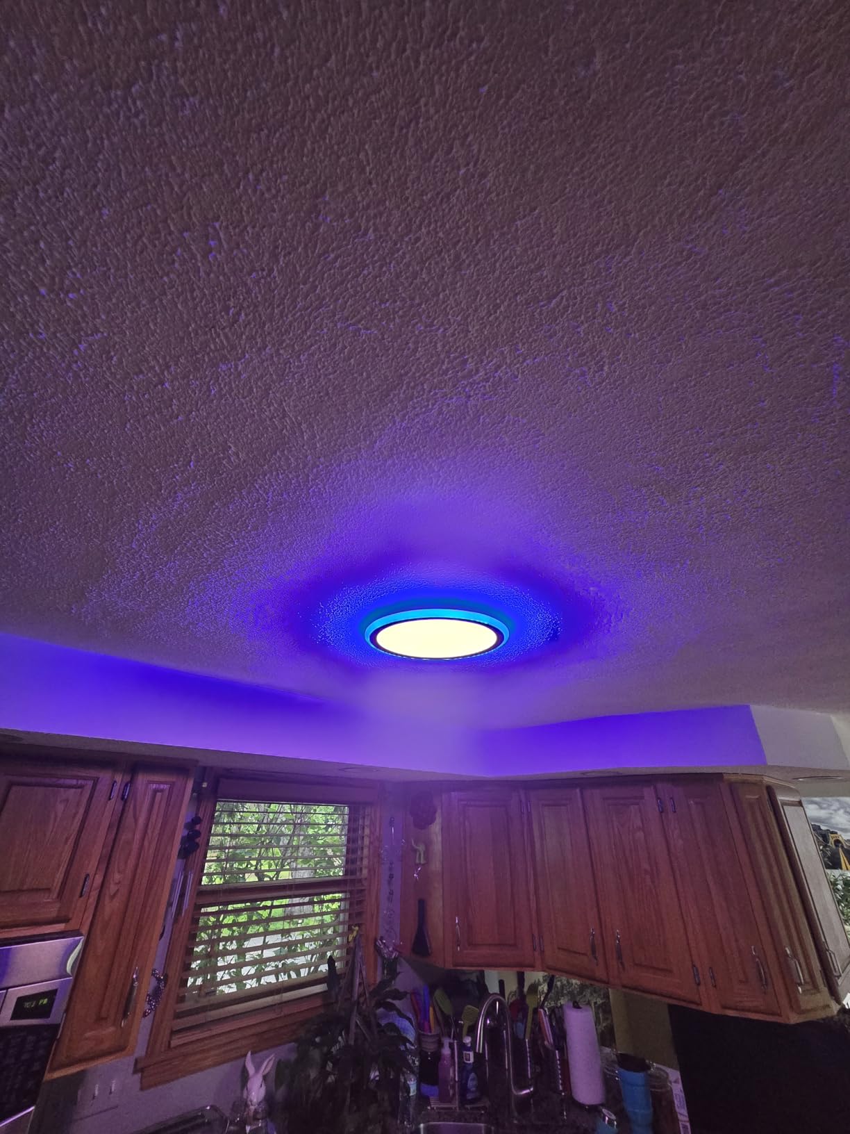 BLNAN Smart RGB LED Flush Mount Ceiling Light with Remote, 13 Inch 24W Dimmable Color Changing Low Profile Wired White Fixture, Works with Alexa Google Home App for Bedroom Living Kids Room Party customer photo 1