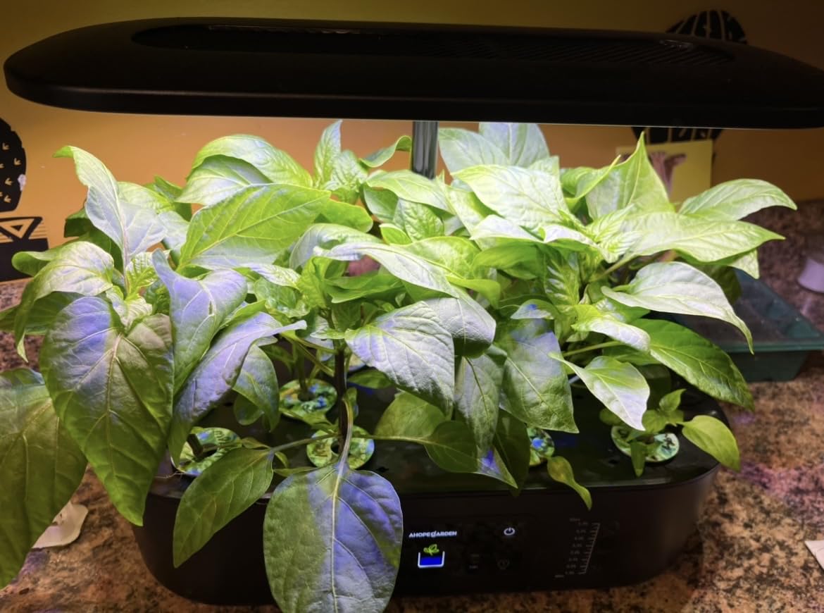 Ahopegarden Hydroponics Growing System Kit: 12 Pods with LCD Control Panel | Indoor Herb Garden with Grow Light, Planting Height Up to 17