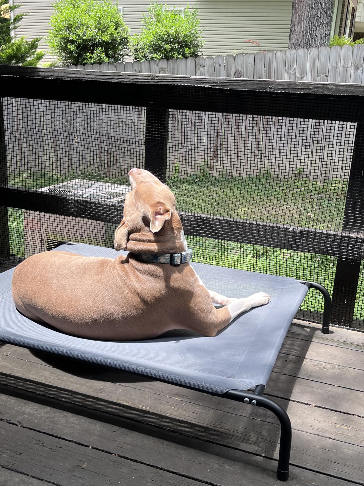 Love's cabin Elevated Cooling Dog Bed for Large Dogs, Portable Indoor & Outdoor Raised Pet Dog Cat Cot, Durable Summer Frame with Breathable Mesh, Grey, 48 inches customer photo 1