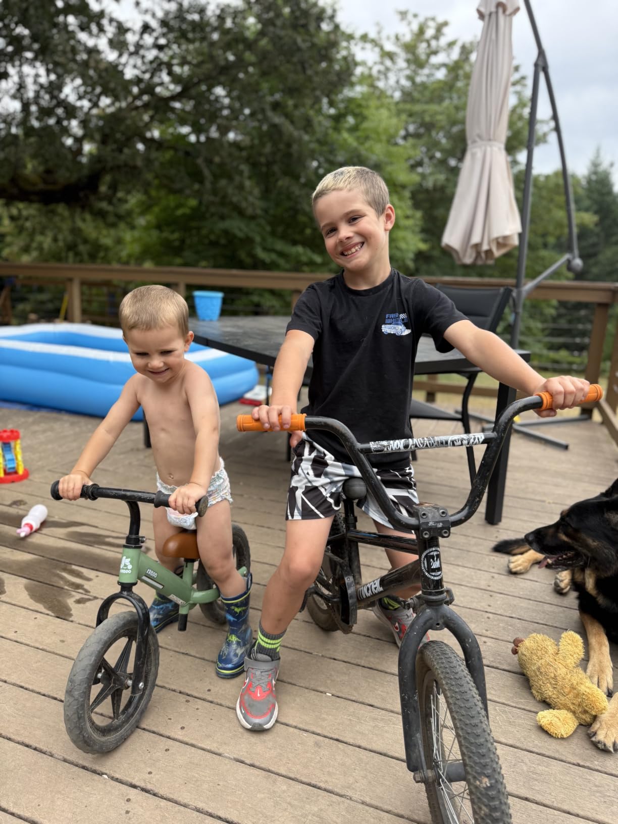 KRIDDO Toddler Balance Bike 2 Year Old: Toddler Bike Toys for 2-5 Years Old | Dual Bearing for Smoother Riding, Adorable Plate, Adjustable Seat and Handlebar, Kids Bike Gift for 2-3 Boys Girls customer photo 1
