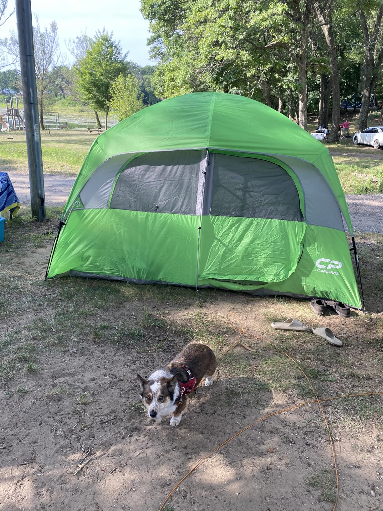 CAMPROS CP Upgraded 6/8 Person Camping Tents, Waterproof Family Tent with Larger Mesh Windows & Door customer photo 2
