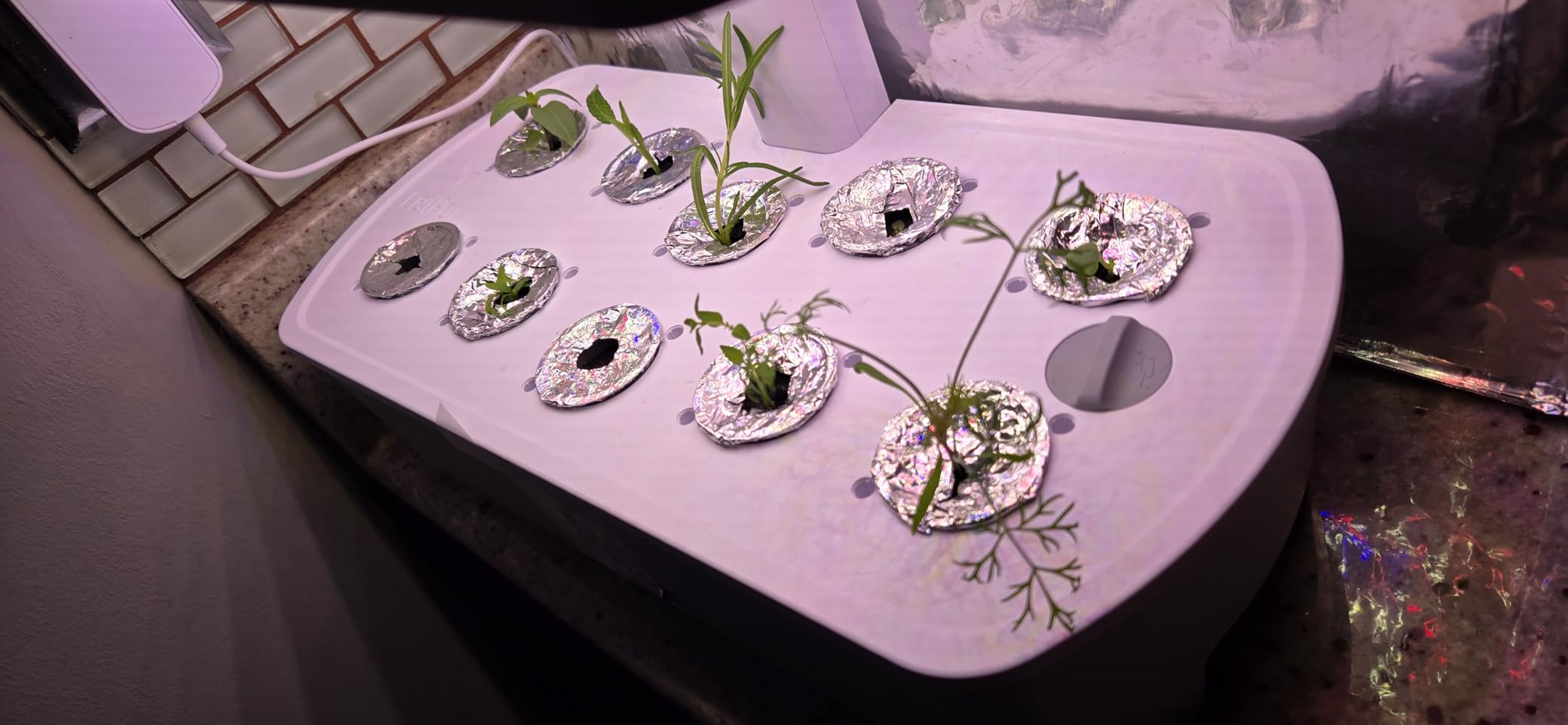 LETPOT LPH-Air Hydroponics Growing System Kits, APP & WiFi Controlled Smart Indoor Garden with 24W Grow Light Full Spectrum, 10 Pods Planter Indoor Gardening for Gifts, Kitchen, Vegetable (Black) customer photo 1