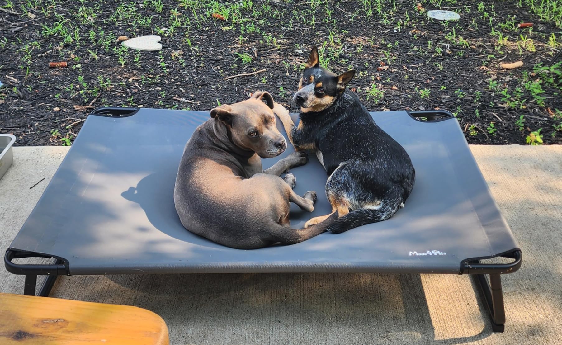 Made4Pets Outdoor Elevated Dog Bed for Large Dogs, Raised Cot, 42