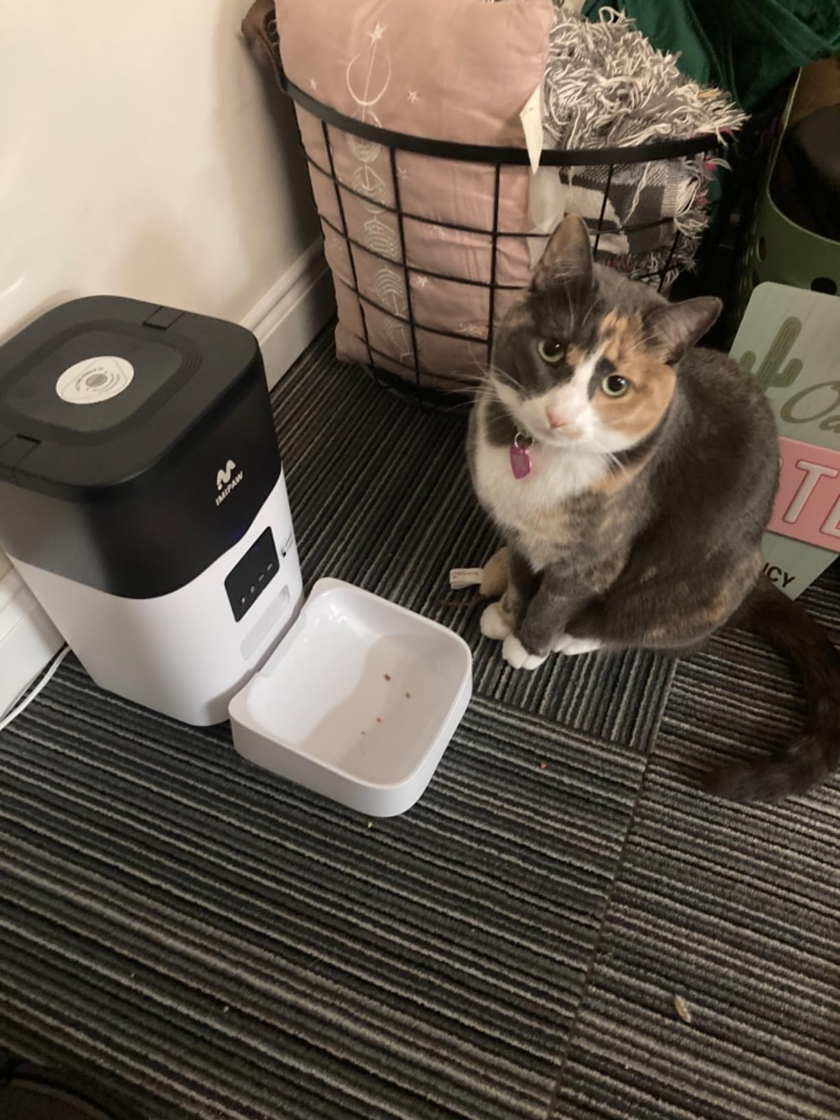 IMIPAW Automatic Cat Feeder, 5G WiFi Cat Food Dispenser with APP Remote Control, Pet Dry Food Smart Feeder, Programmable Timed Feeding, Dual Power Supply, 1-10 Meals Per Day, Desiccant Bag, Small pets customer photo 2