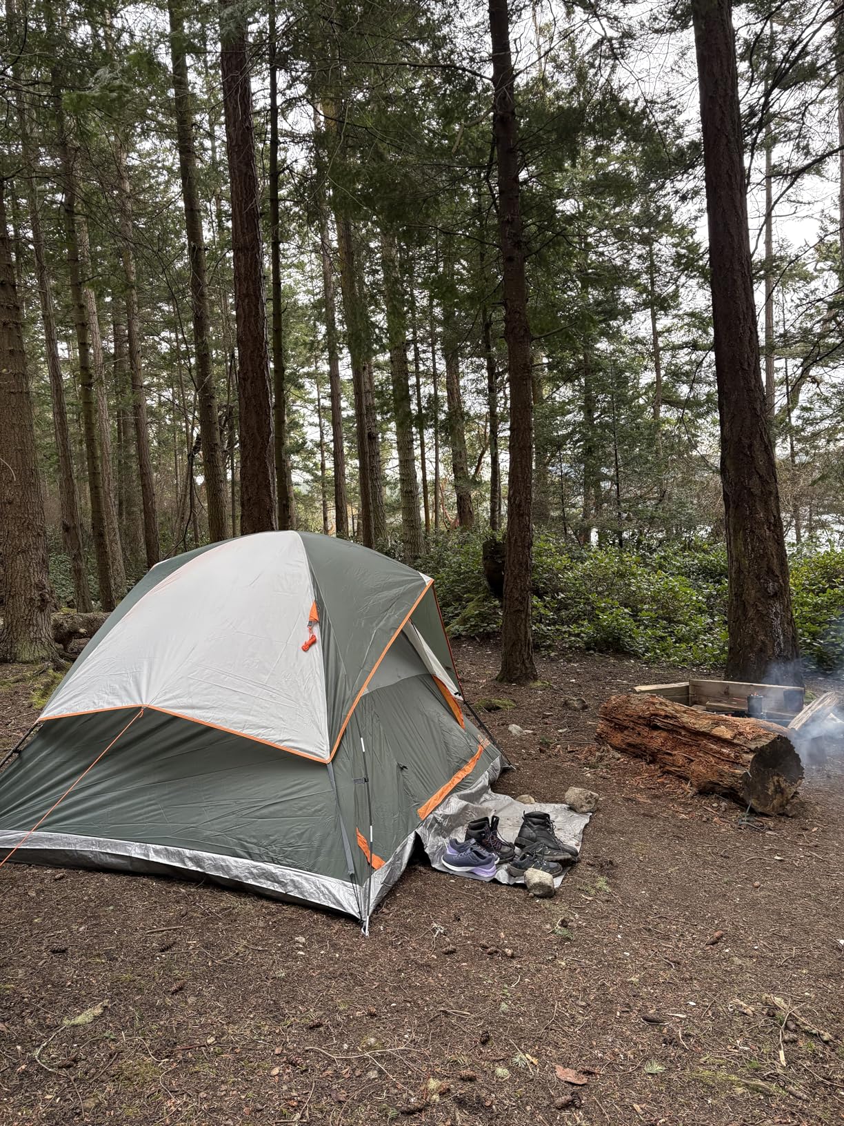 JELUCAMP 1/2/4/6 Person Dome Tents for Camping Lightweight Backpacking Tent customer photo 2