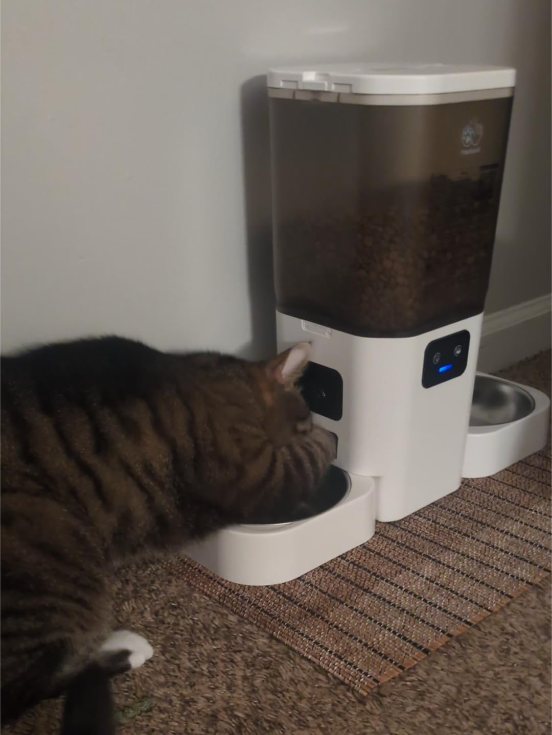 Automatic Cat Feeder with 5G WiFi: Automatic Dog Feeder with Slow Feed & Smart APP Control, 7L Timed Auto Cat Food Dispenser with Alexa for Pets, Detachable for Easy Cleaning - 29 Cups customer photo 1