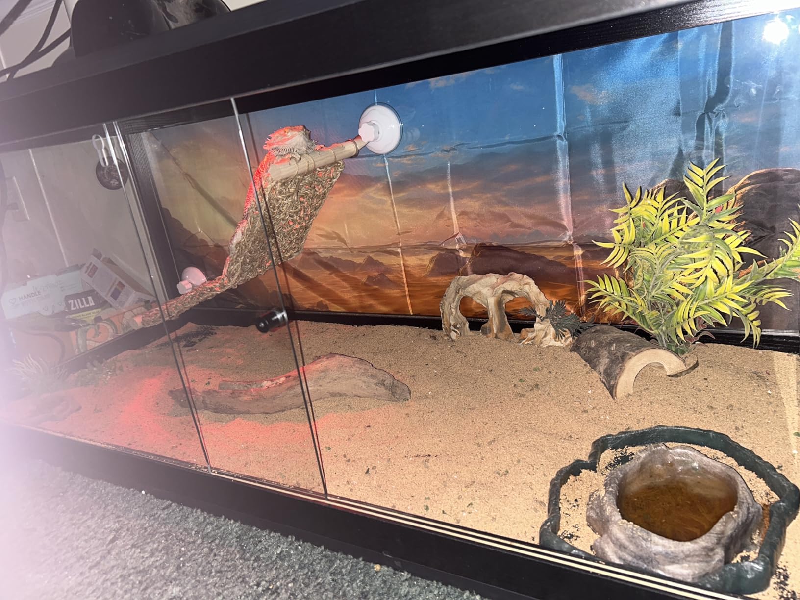 PROLEE Reptile Tank, 31 Gallon Beard Dragon Tank, Tempered Glass Reptile Encloure and Snake Tank with Locking Design for Lizard,Gecko,Chameleon (24