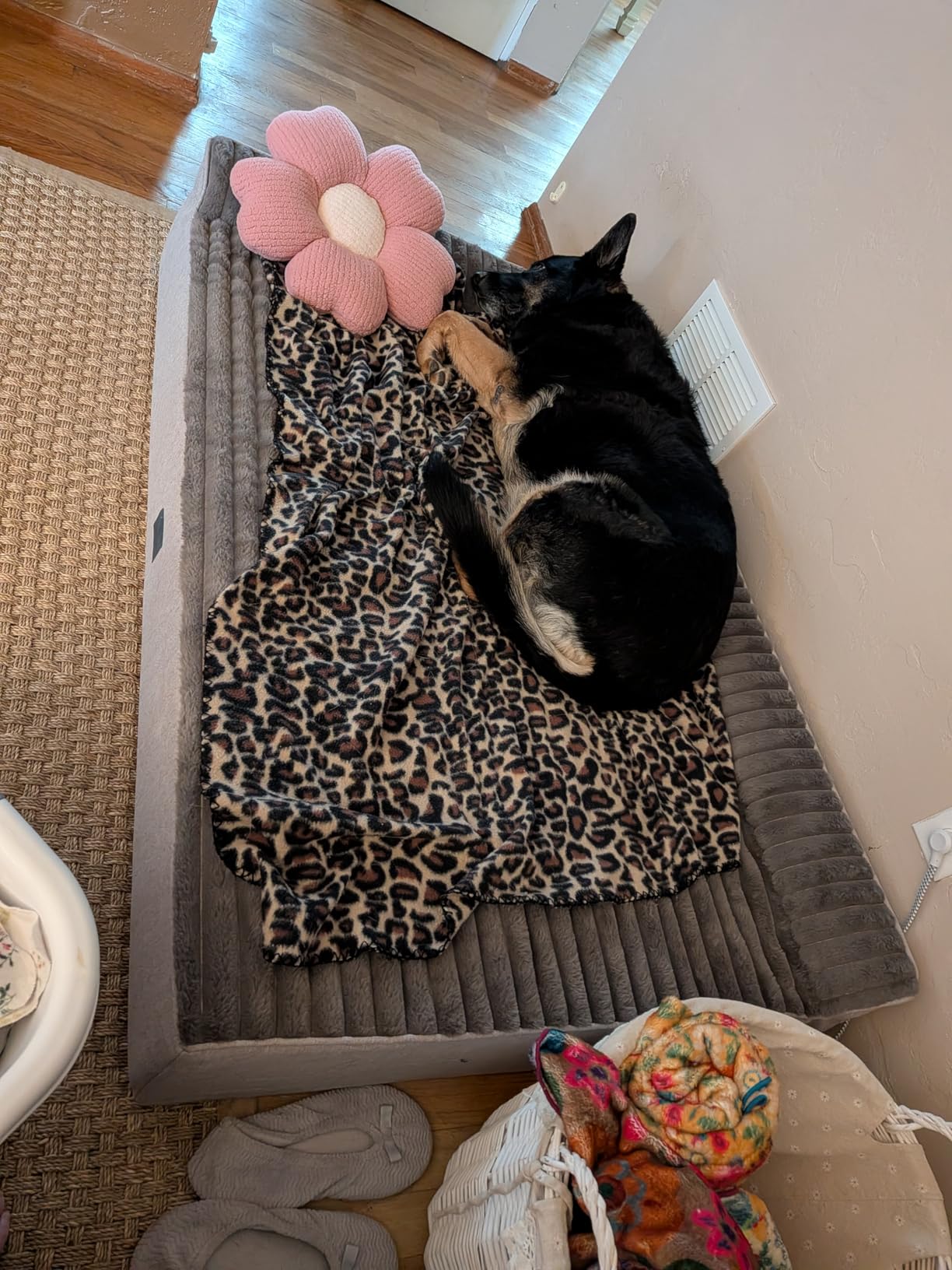 Veehoo Orthopedic Dog Bed for Senior Dog, 7