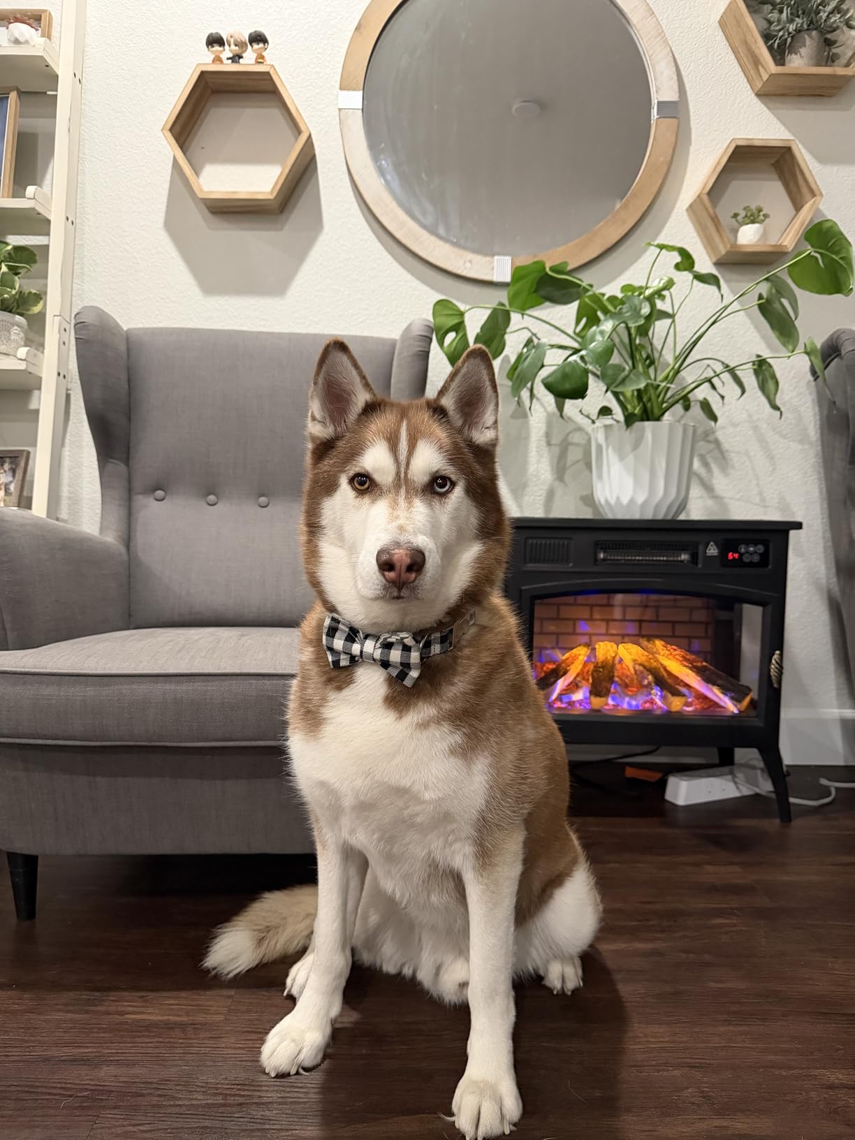 24'' Freestanding Electric Fireplace Heater with 6 Variable Realistic Flame Colors, 1000W/1500W Fireplace Stove with Overheat Protection for Indoor, Bedroom, Living Room, Office customer photo 2
