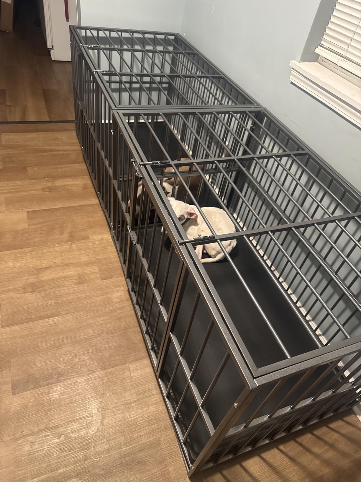 48 Inch Heavy Duty Dog Crate Steel Escape Proof, Indoor Double Door High Anxiety Cage, Removable Tray, Large Dog Kennel with Wheels, XL XXL customer photo 2