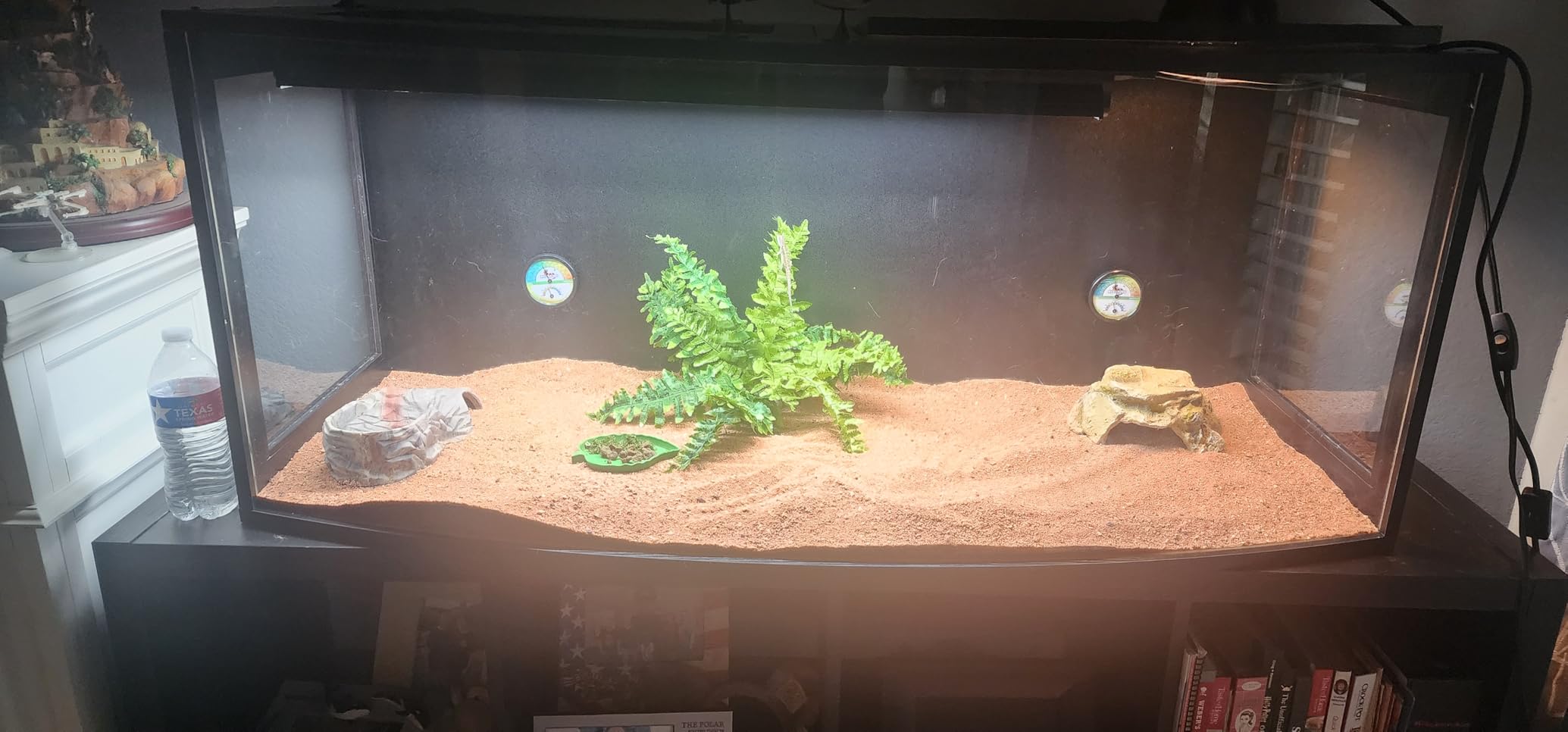 Bearded Dragon Tank, Curved Reptile Enclosure with 3-Side Clear Acrylic Panels, Spacious Lizard Tank with Metal Mesh Top and Lockable Door for Reptile Habitat (Black, 40