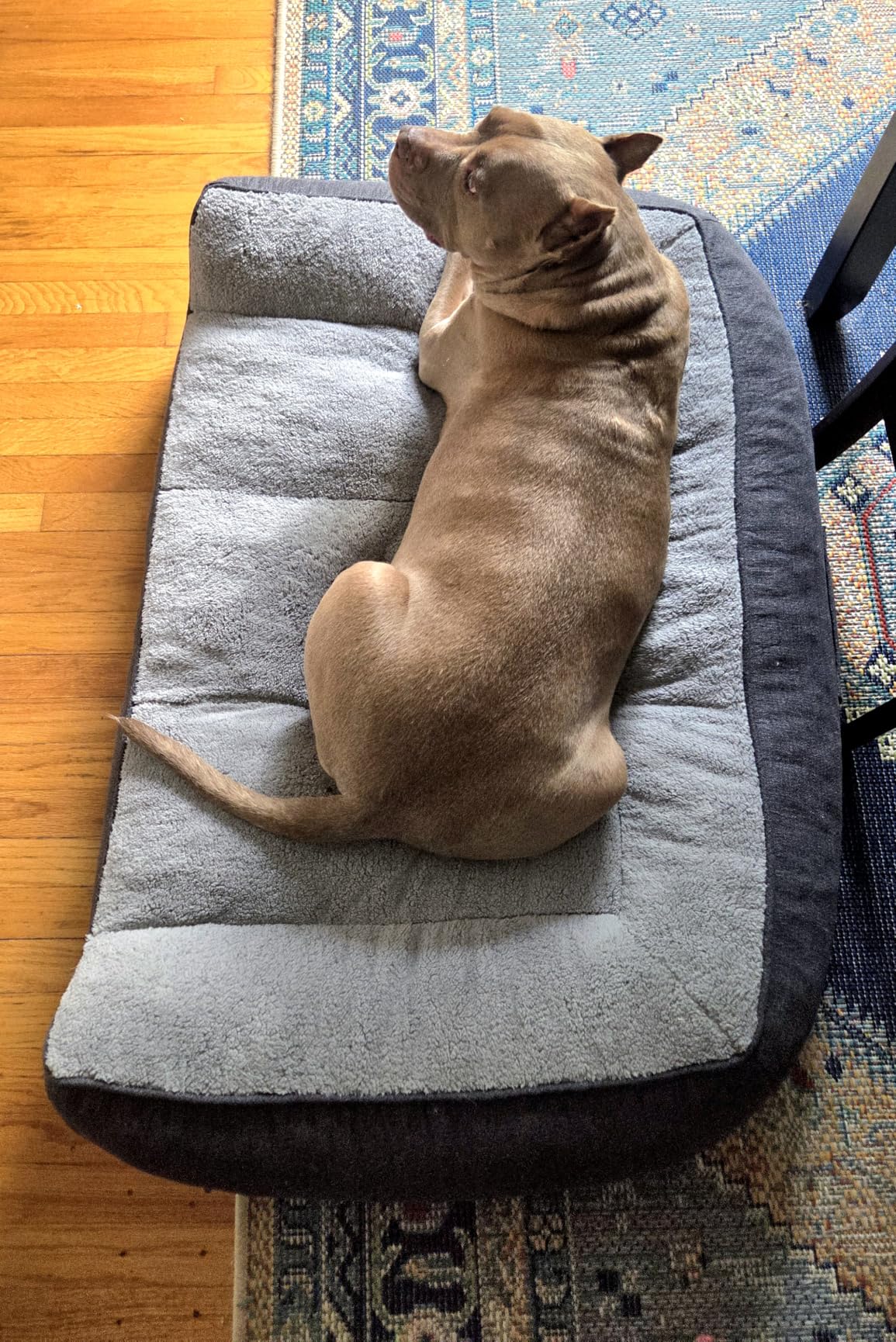 Bedsure SupportMax XL Pro Orthopedic Dog Beds Large Sized Dog - Extra Thick Supportive Dogs Couch with Waterproof Washable Cover, Extra Large Comfort Pet Sofa with Sherpa & Nonskid Bottom, Grey, 45