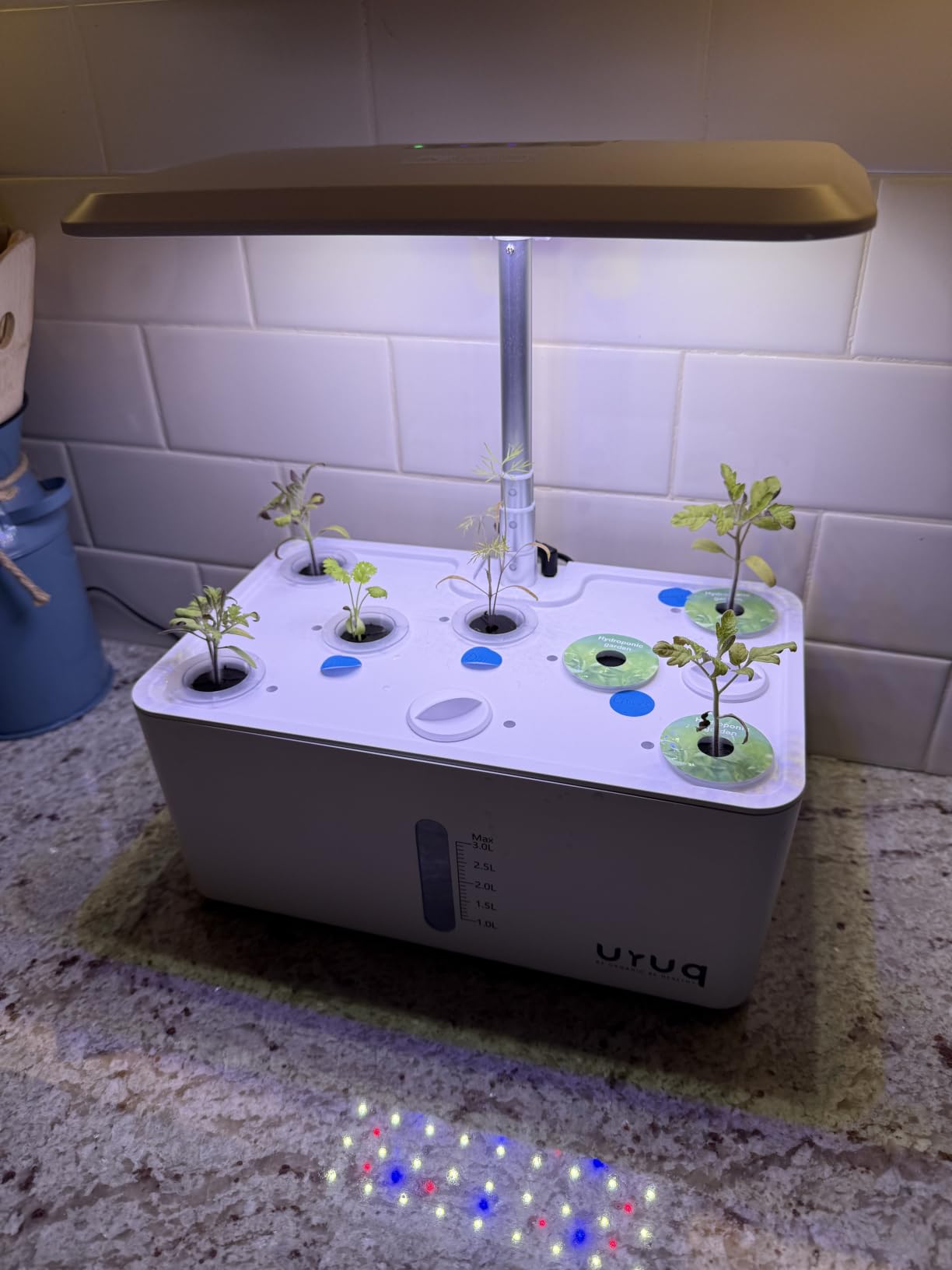 URUQ Hydroponics Growing System Garden: 8 Pods Indoor Herb Garden with Grow Light Plants Germination Kit Quiet Automatic Hydroponic Height Adjustable - Gardening Gifts for Women Kitchen customer photo 2