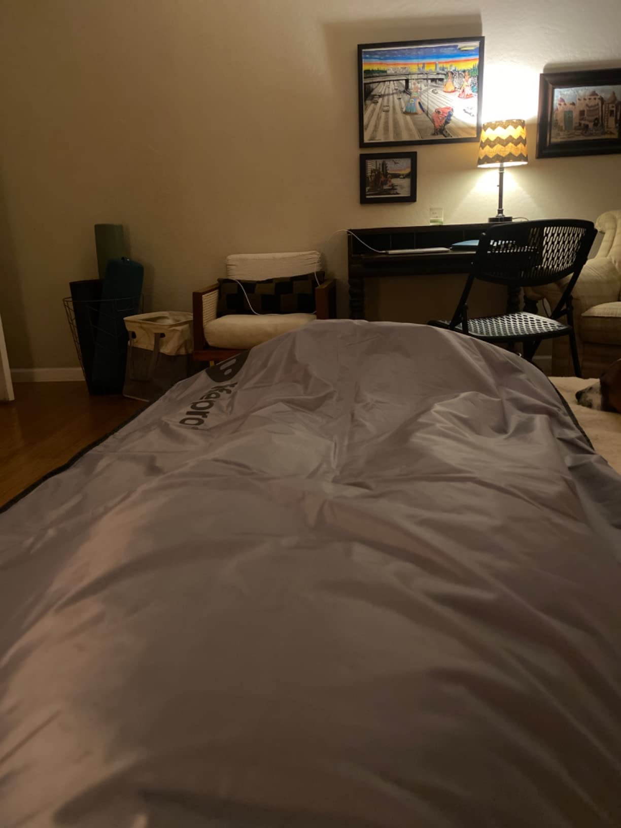LifePro BioRemedy Infrared Sauna Blanket for Home Relaxation Detox - Portable Low EMF Carbon Fiber Dual-Layer, Adjustable 86-158F, 20-60 Min Timer, Far Infrared Full Body Relaxation customer photo 1