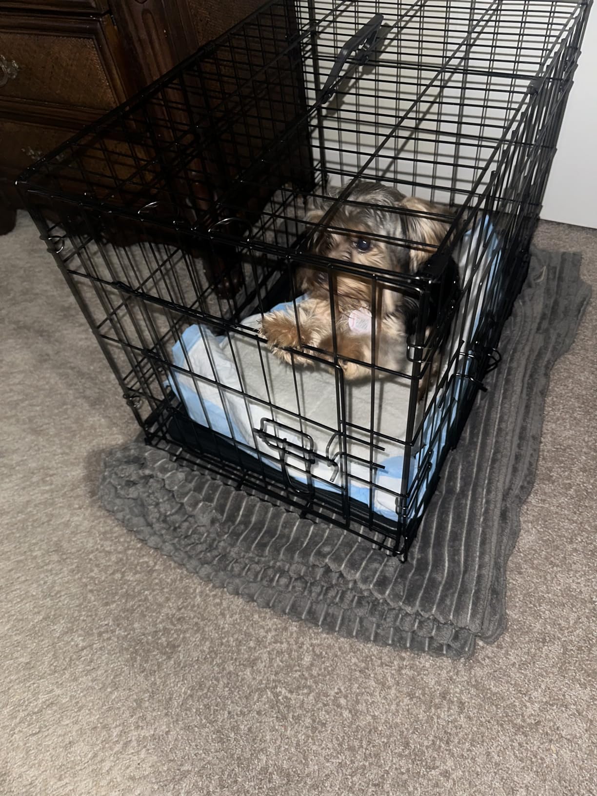 Sweetcrispy 42 Inch Dog Crate, Medium Large Crates Double Door Folding Metal Wire Dog Cage with Plastic Leak-Proof Pan Tray, Pet Kennel for Indoor, Outdoor, Travel customer photo 2