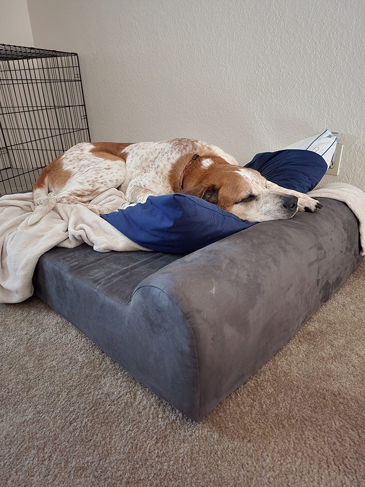 Barker Beds Giant Orthopedic Dog Bed - 7