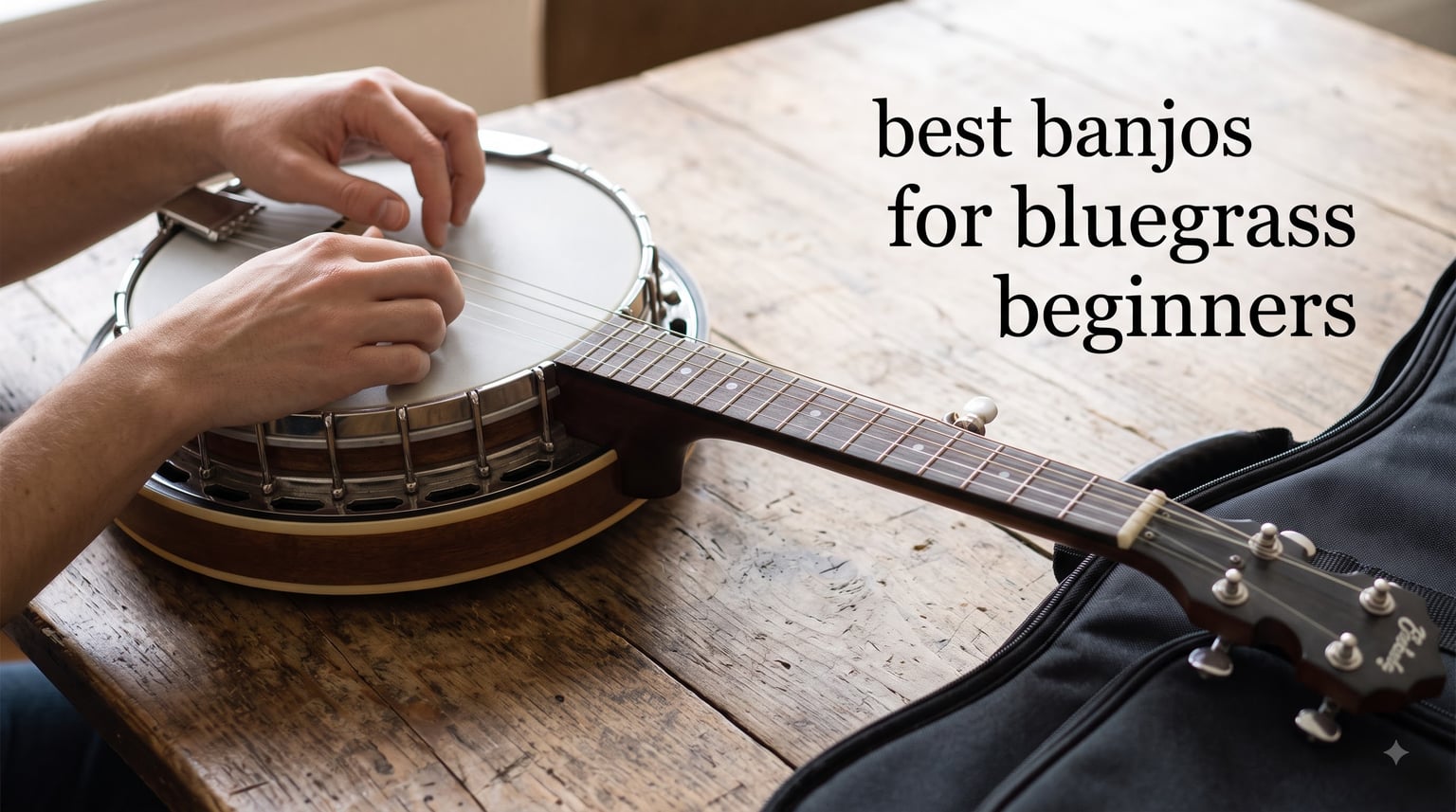 best banjos for bluegrass beginners