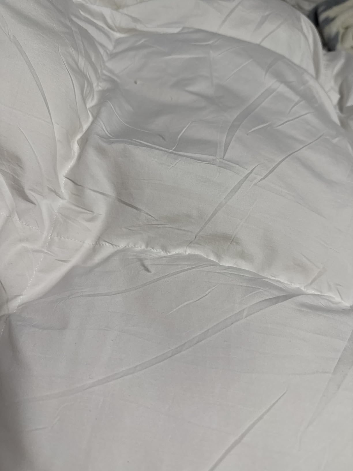 Luxurious Queen Size Goose Down Fiber Waterfowl Feather Fiber Comforter (90