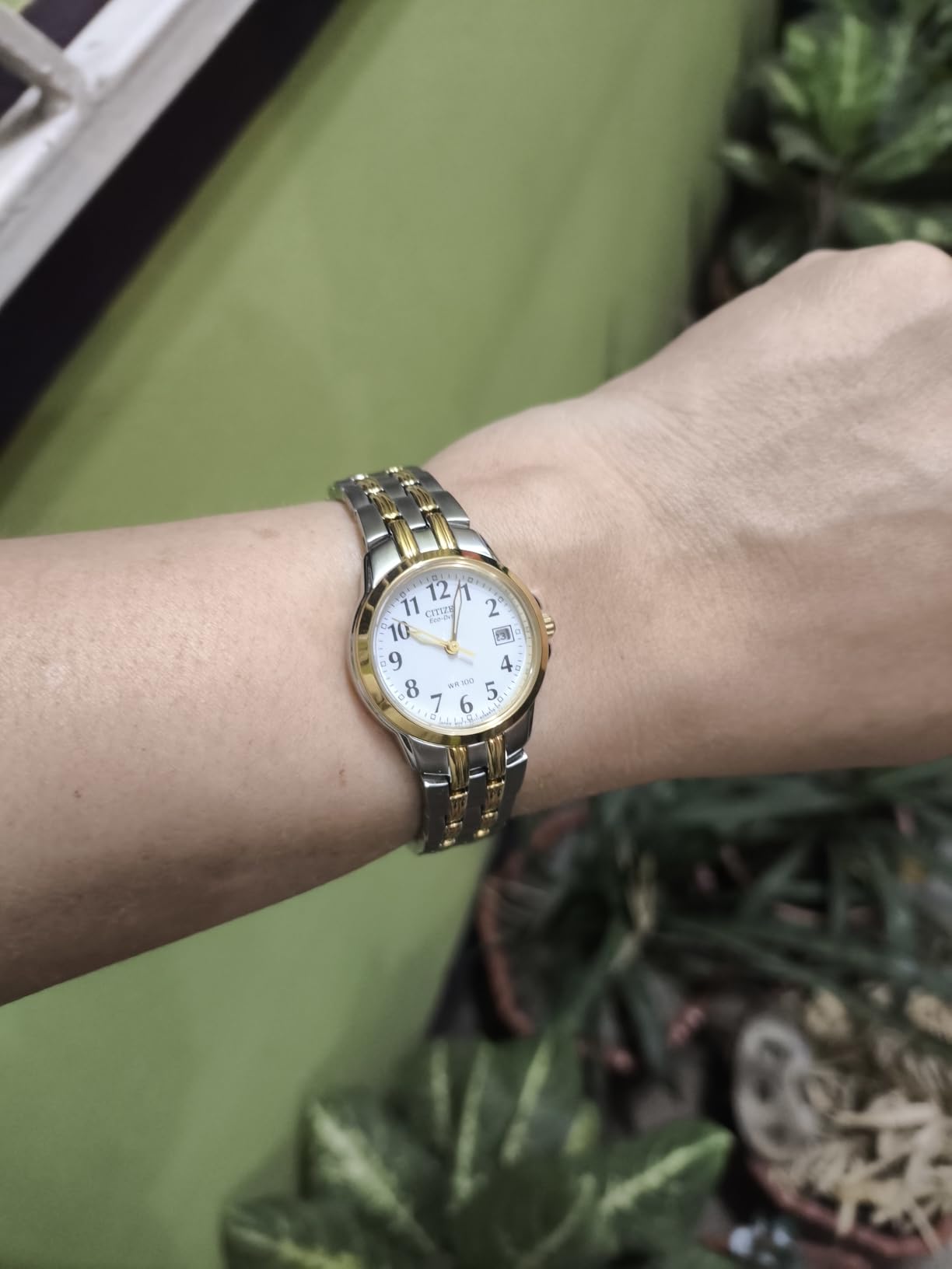 CITIZEN Ladies' Eco-Drive Classic 26mm Stainless Steel EW1544-53A customer photo 1
