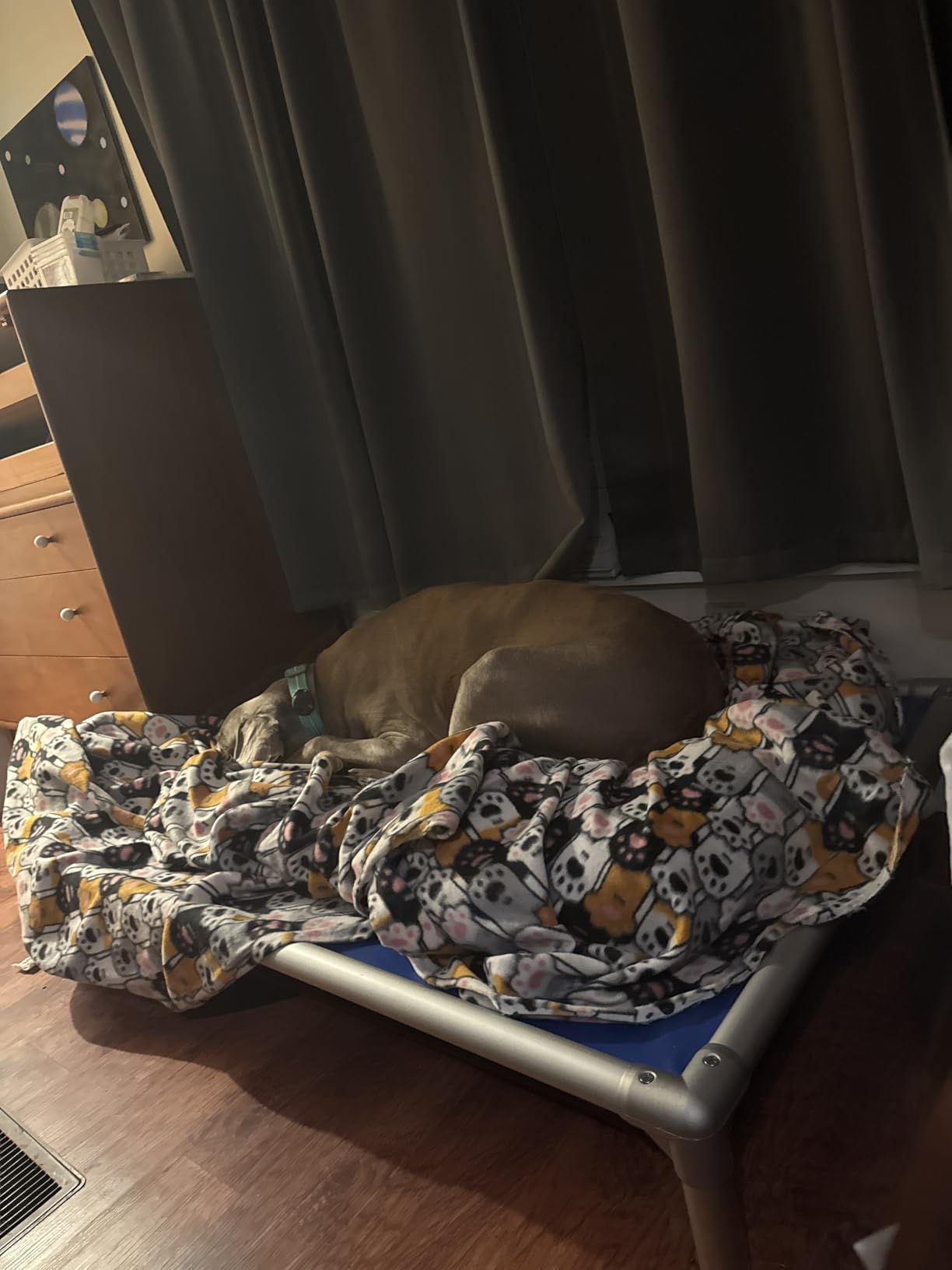 Kuranda Chewproof Elevated Dog Bed - Silver Aluminum - 25