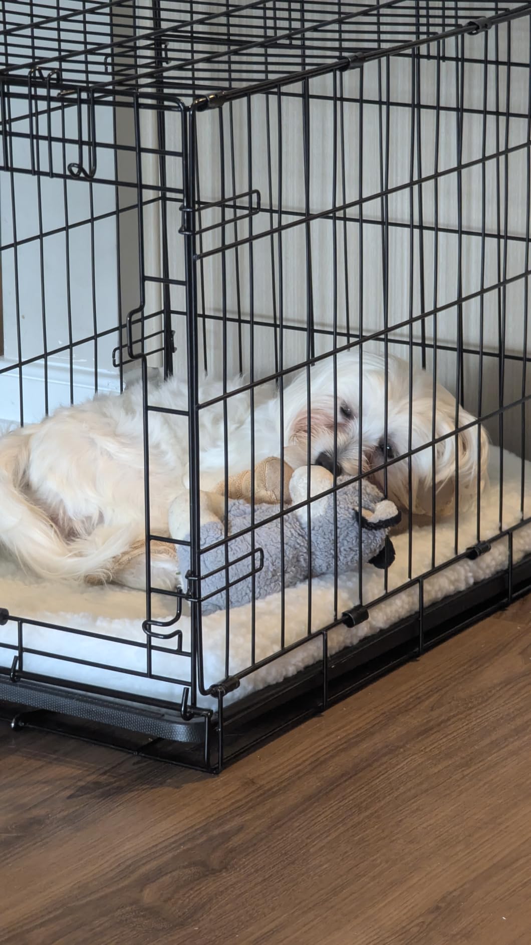 MidWest Homes for Pets QuietTime XXS Dog Bed - Gray Faux Fur Bolster, Ultra-Soft and Machine Washable, Fits 18-Inch Crates and Carriers, for Small Dogs and Cats customer photo 1