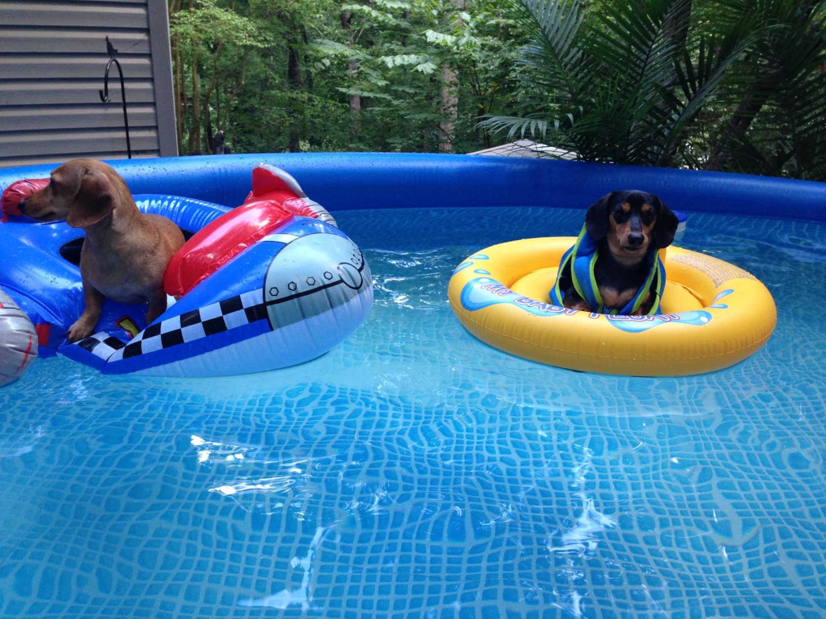 Intex My Baby Float customer photo 1