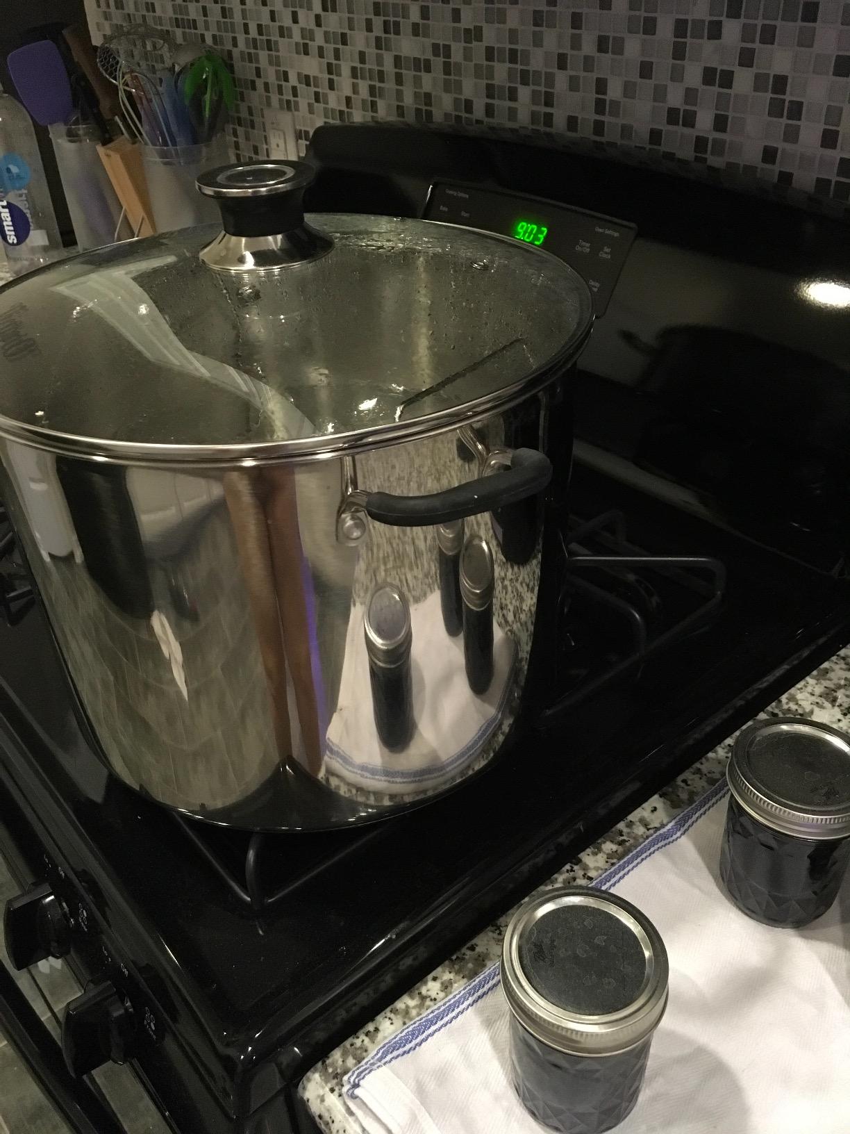 Harvest Stainless Steel 20 Qt Canning Pot with Rack | Water Bath or Steam Canning | Works on All Stovetops Including Induction, Glass, Gas (Stainless Steel Canner + Tools) (Stainless Steel Canner) customer photo 2