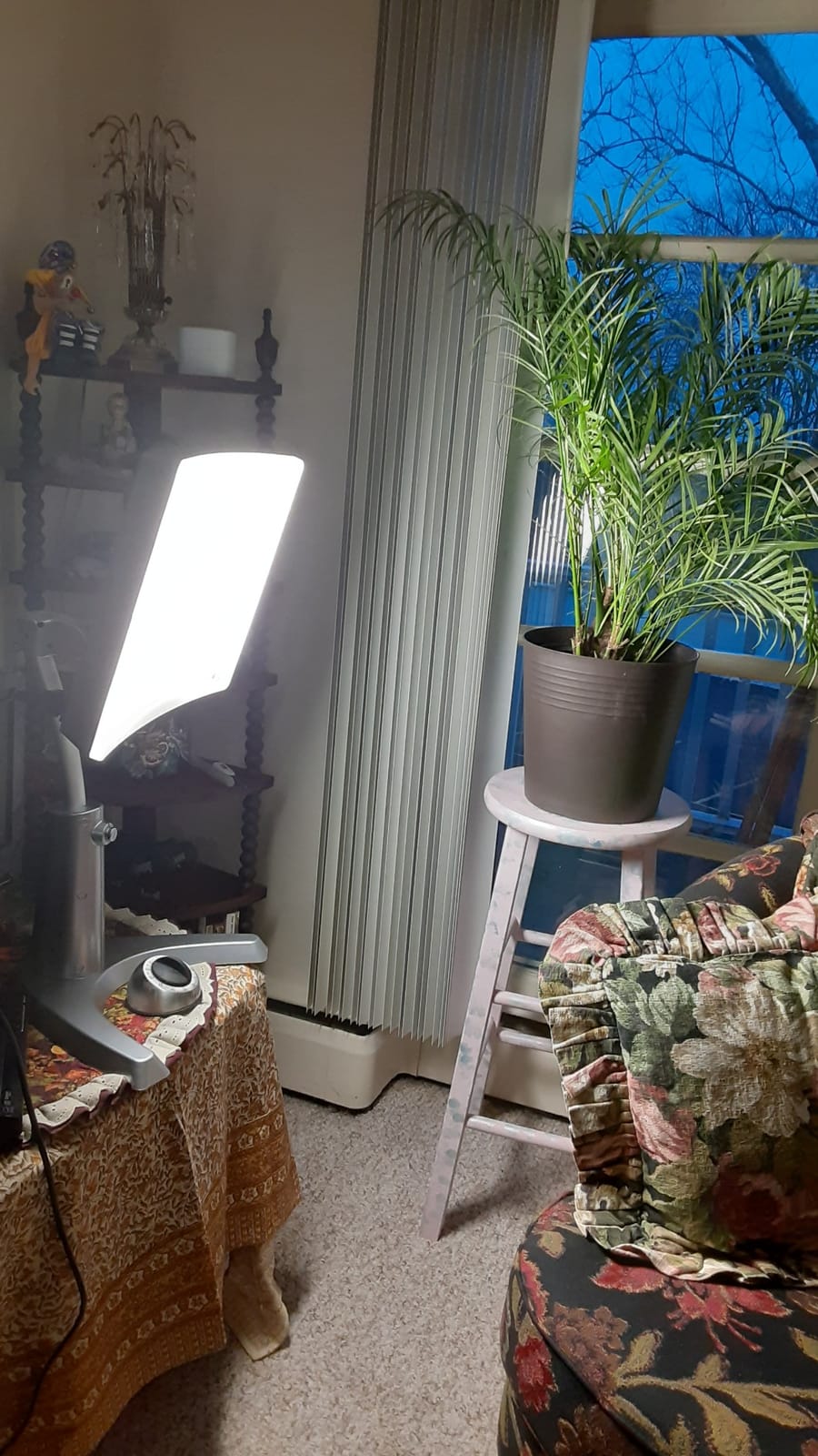 Carex Day-Light Classic Plus Sunlight Therapy Lamp - 10000 LUX Therapy Lamp at 12 Inches, LED Bright White Light with Adjustable Height and Brightness Levels for Mood, White customer photo 1